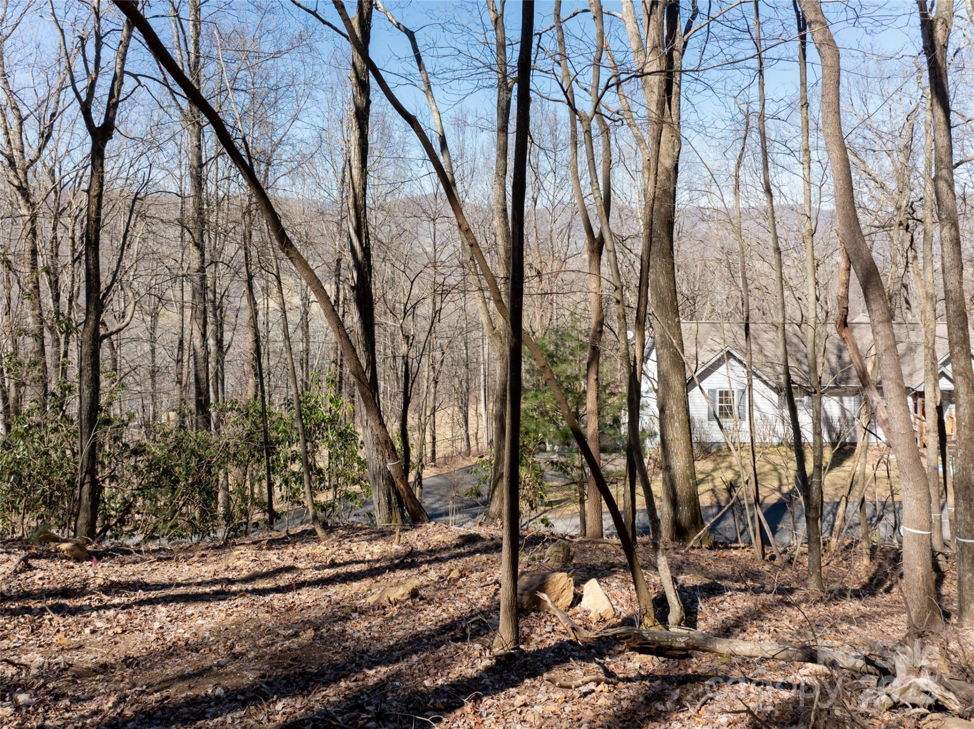 9999 Laurel Drive #12 & 13 - Photo 38