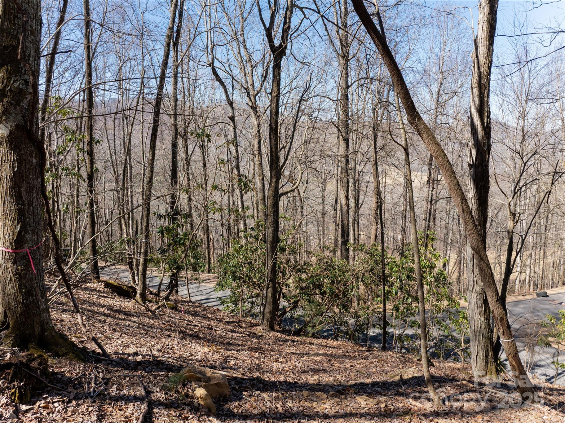 9999 Laurel Drive #12 & 13 - Photo 39