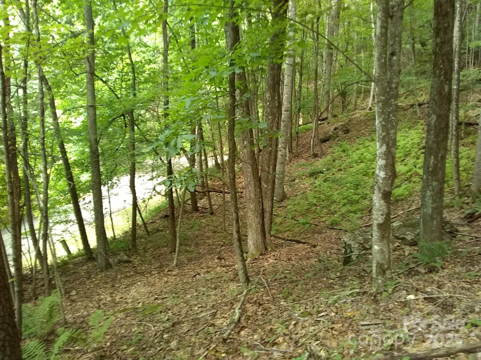 9999 Laurel Drive #12 & 13 - Photo 5