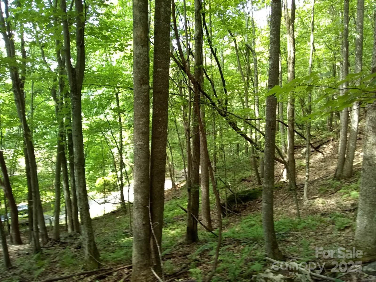 9999 Laurel Drive #12 & 13 - Photo 6