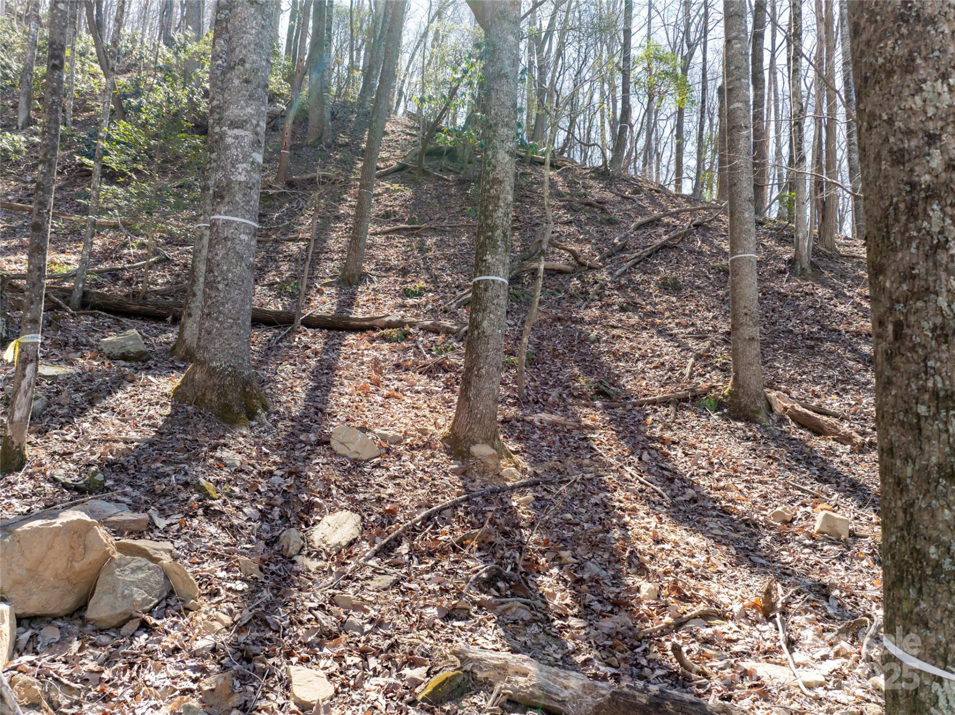 9999 Laurel Drive #12 & 13 - Photo 9