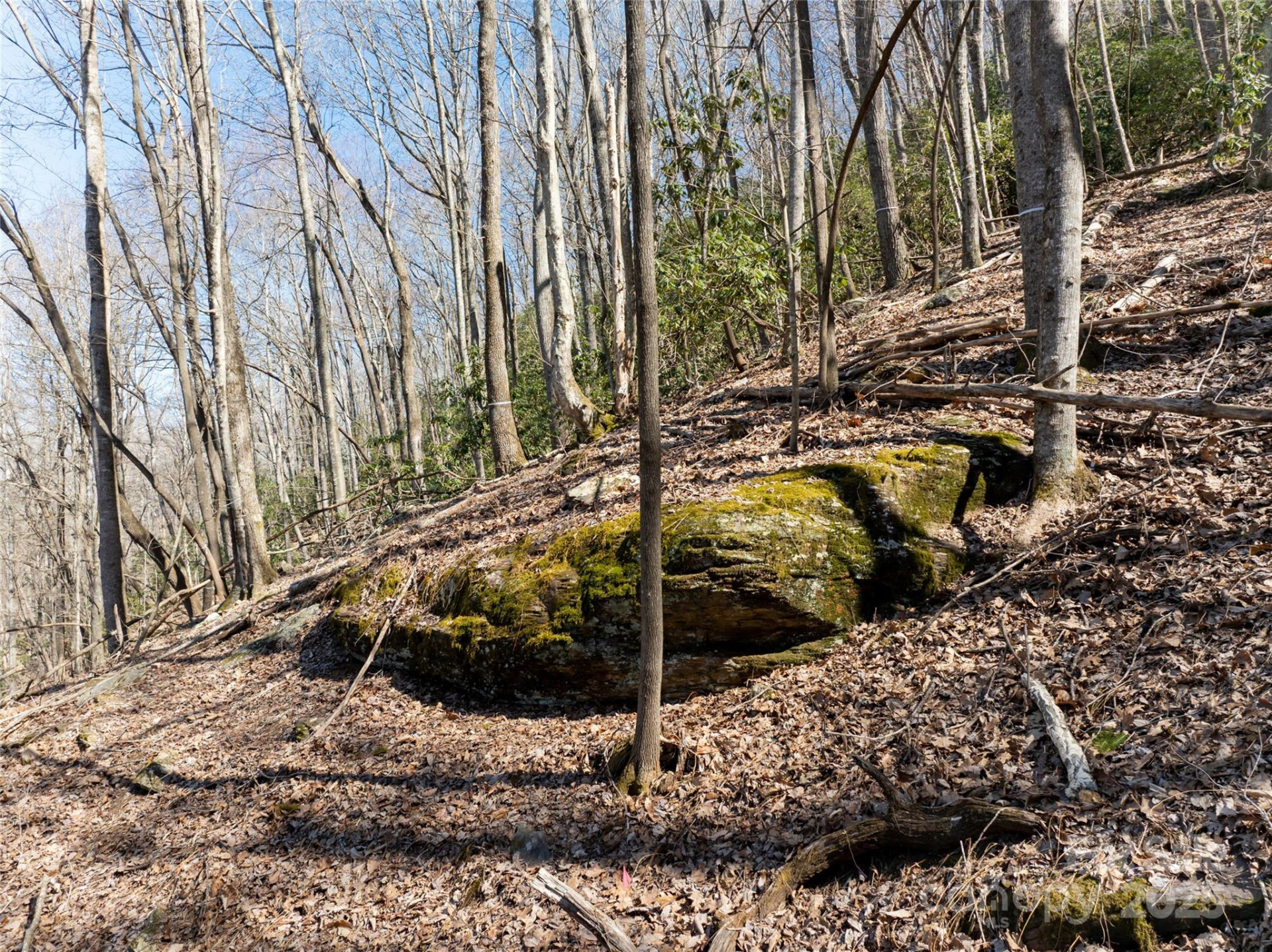 9999 Laurel Drive #12 & 13 - Photo 10