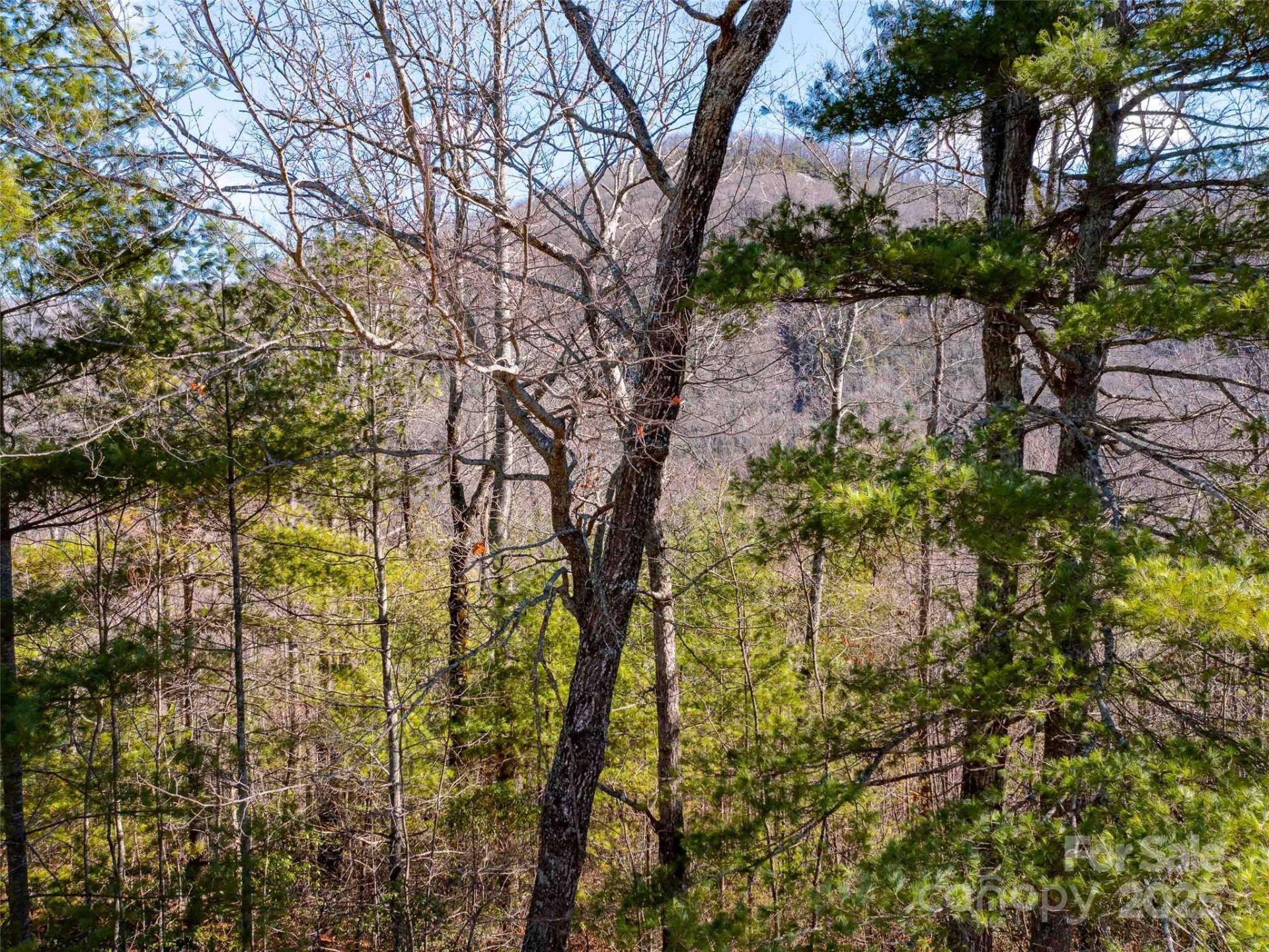 794 Silverstone Drive - Photo 2