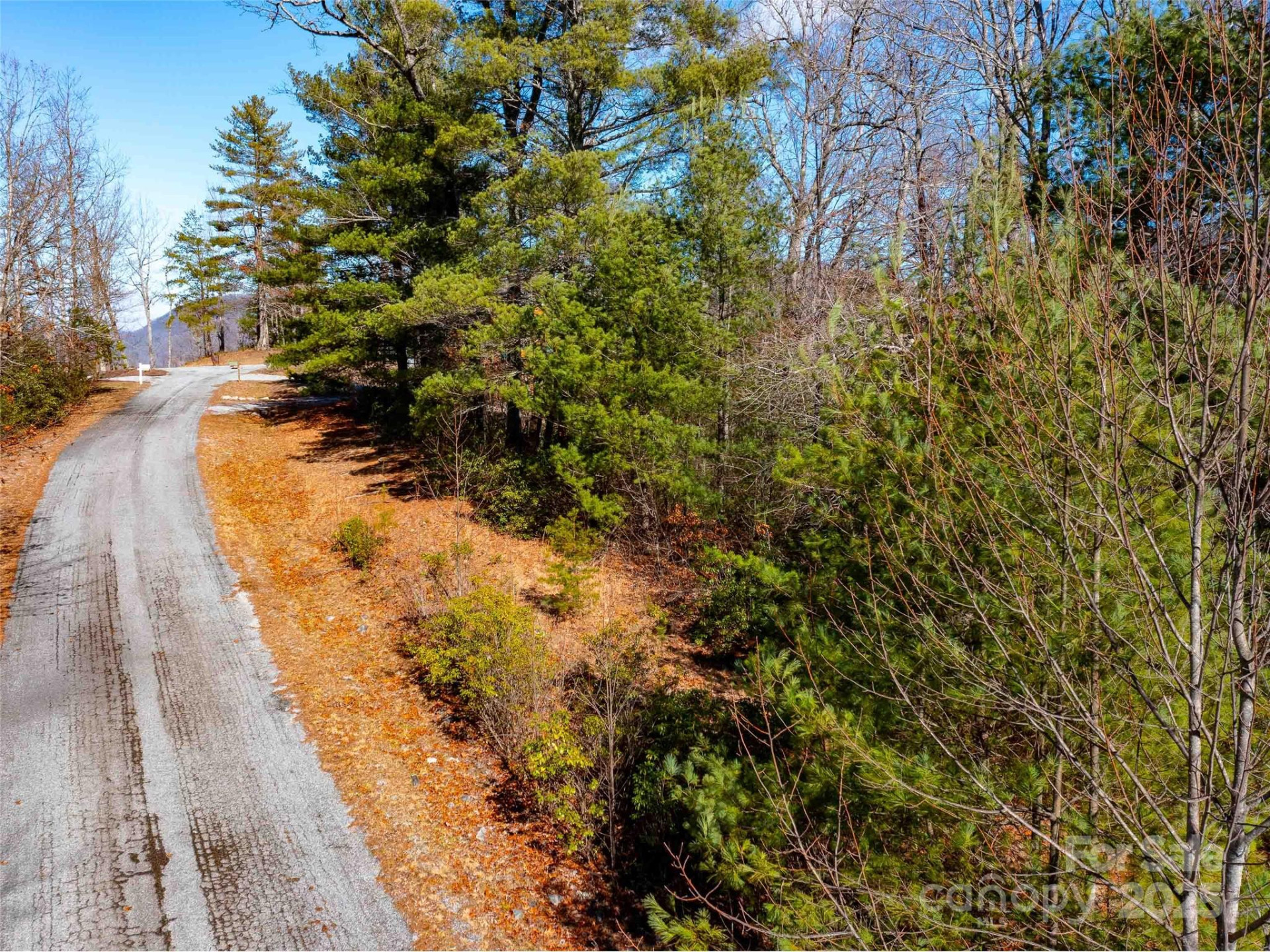 794 Silverstone Drive - Photo 12