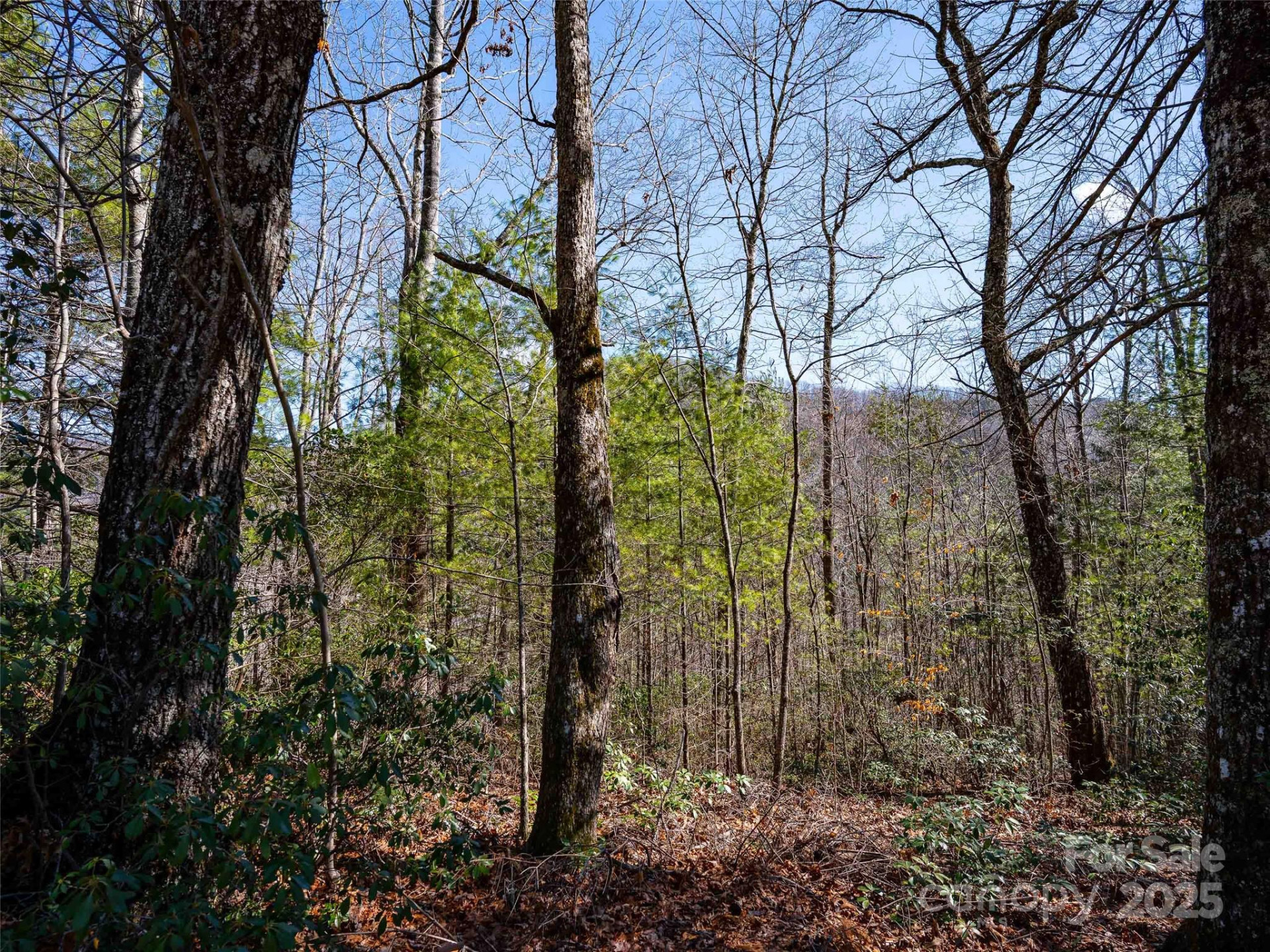 794 Silverstone Drive - Photo 14