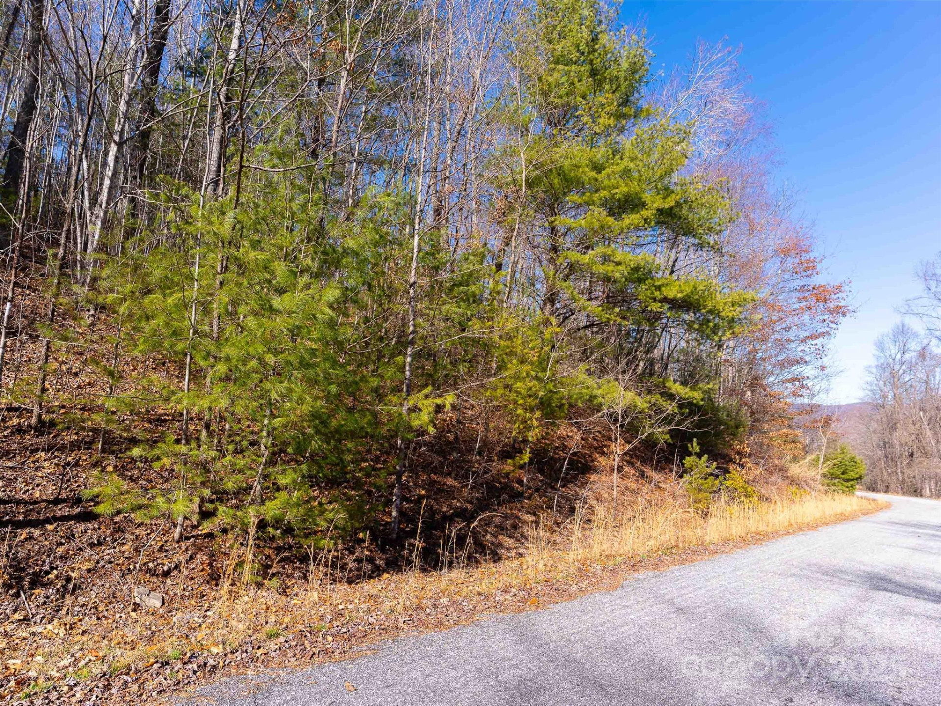 794 Silverstone Drive - Photo 16