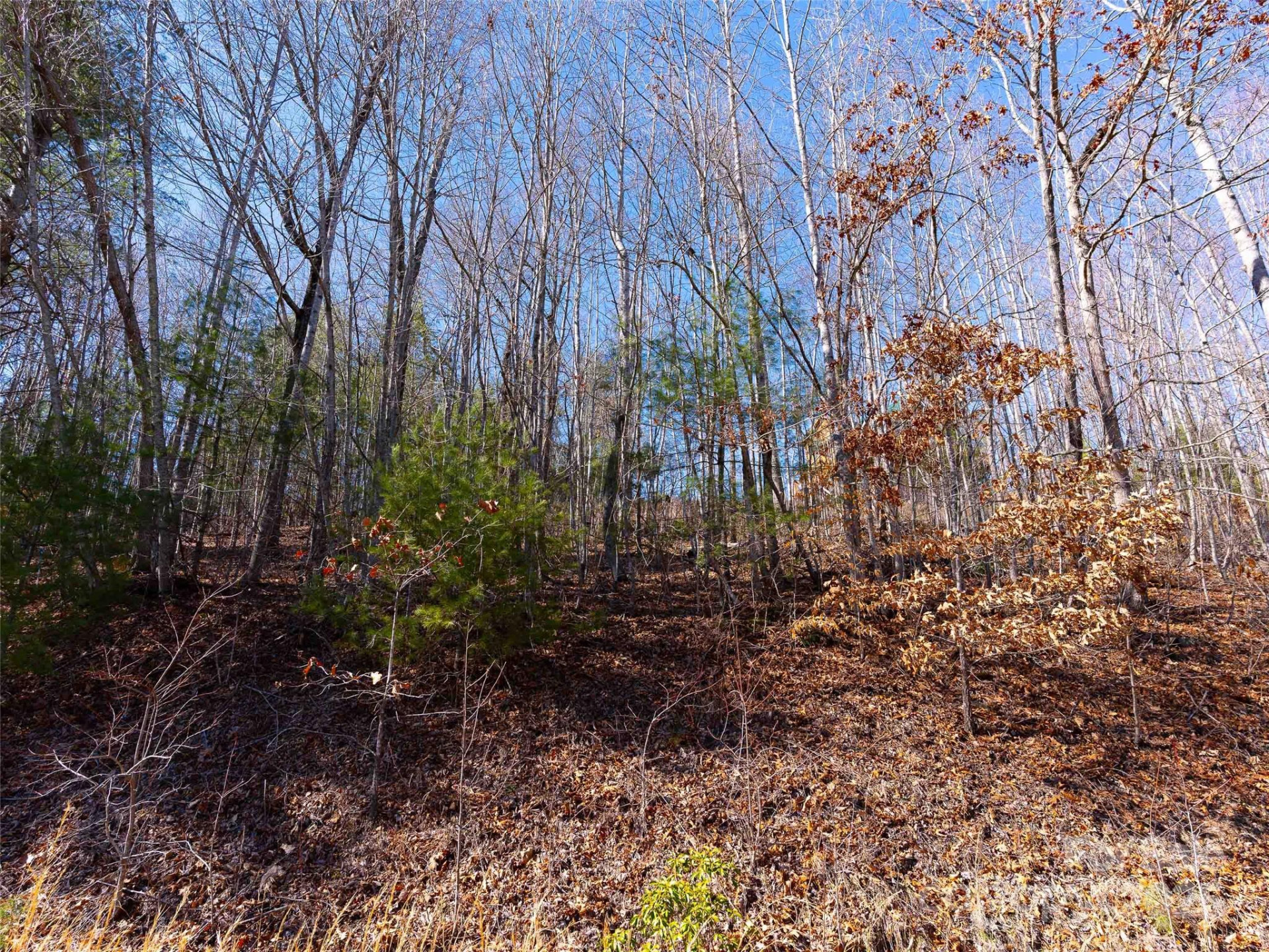 794 Silverstone Drive - Photo 17