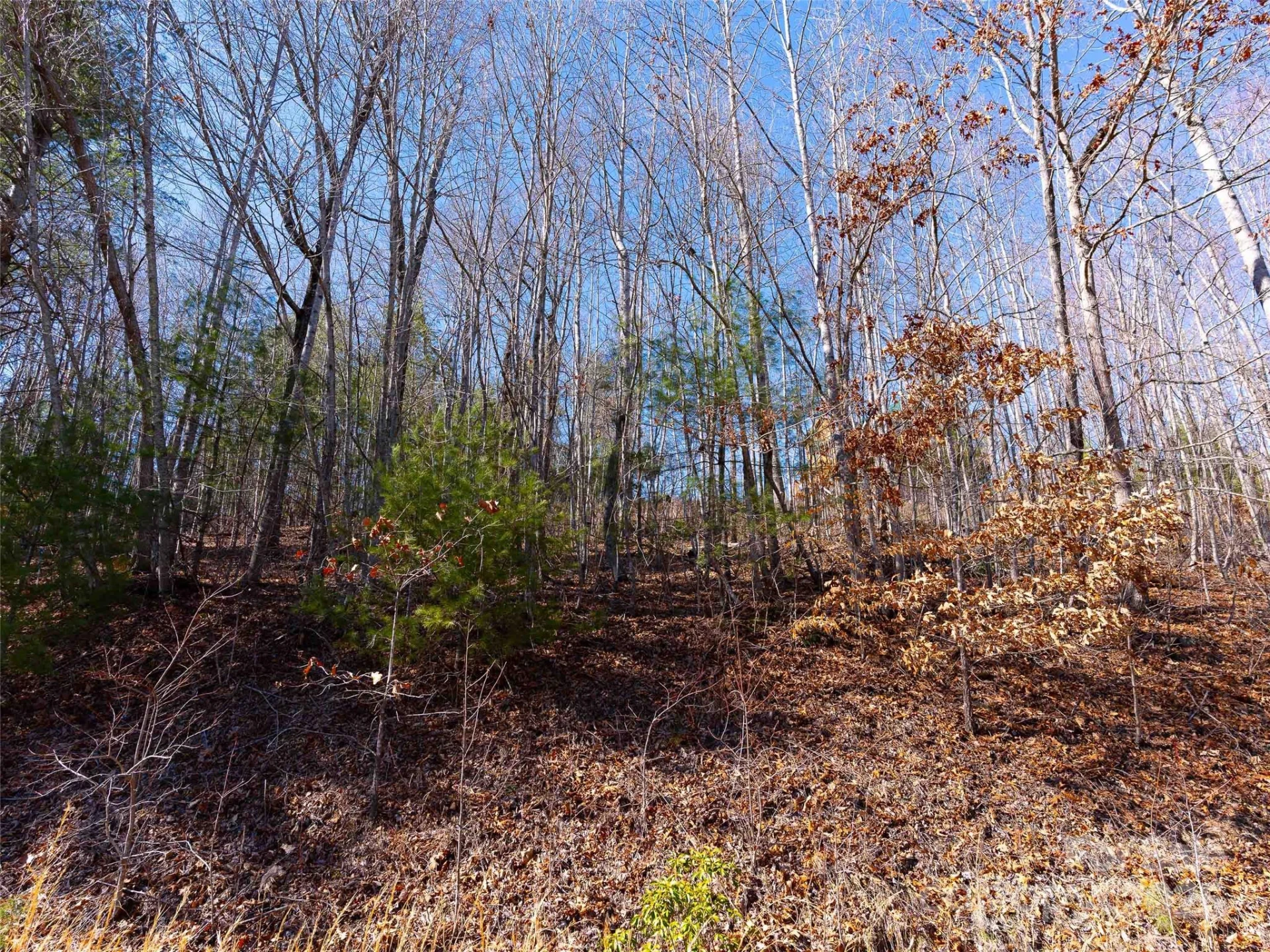 794 Silverstone Drive - Photo 17