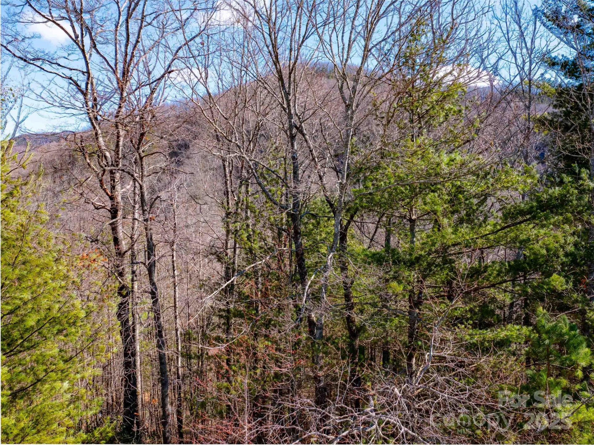 794 Silverstone Drive - Photo 3