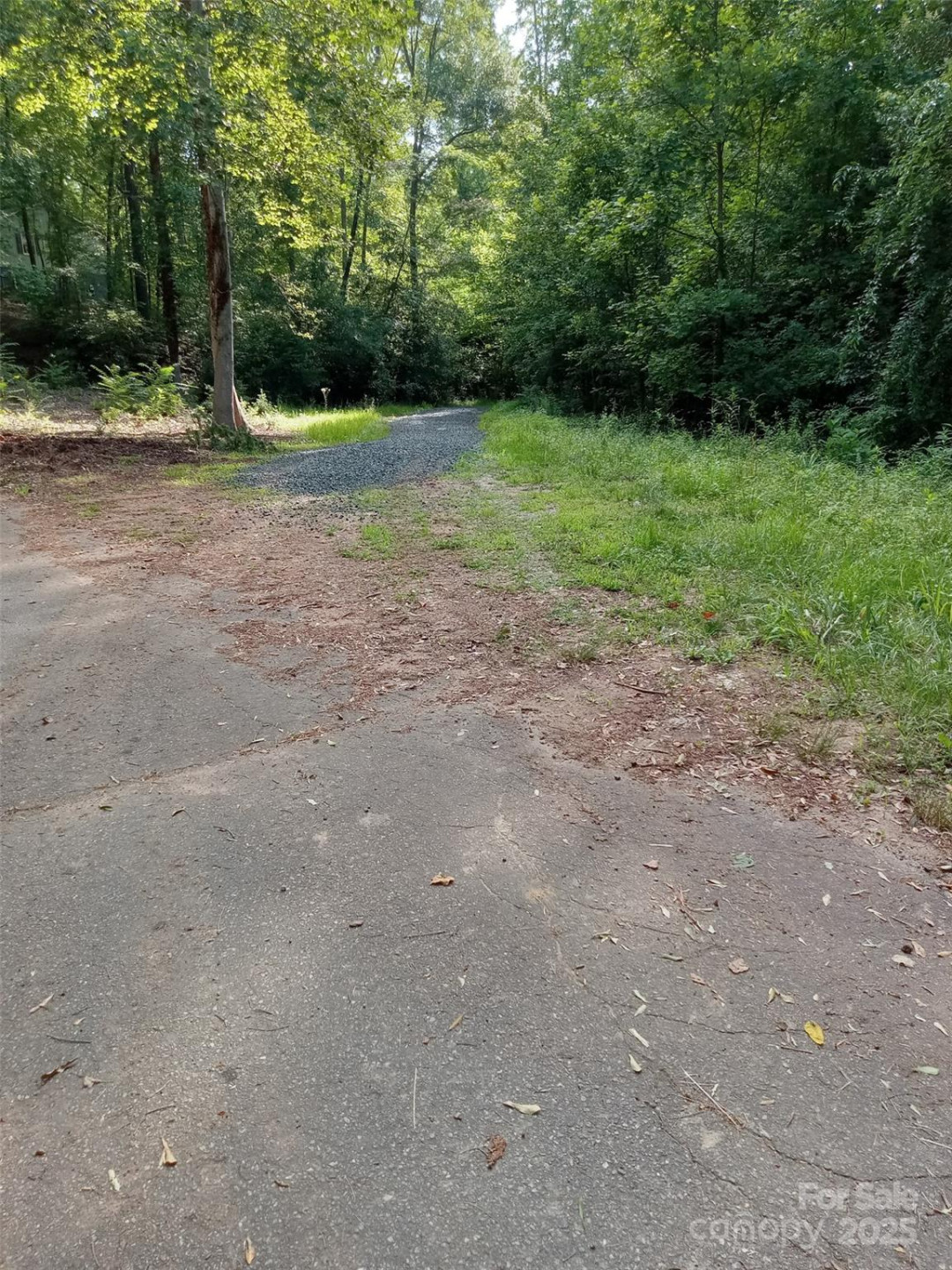 0 Rutherford Street - Photo 2