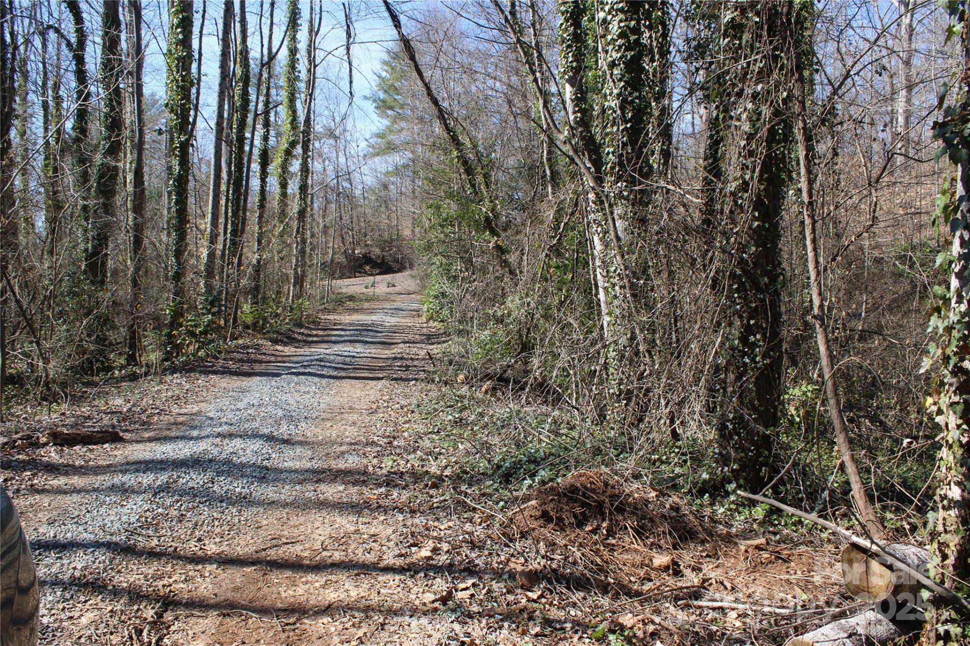 0 Rutherford Street - Photo 11