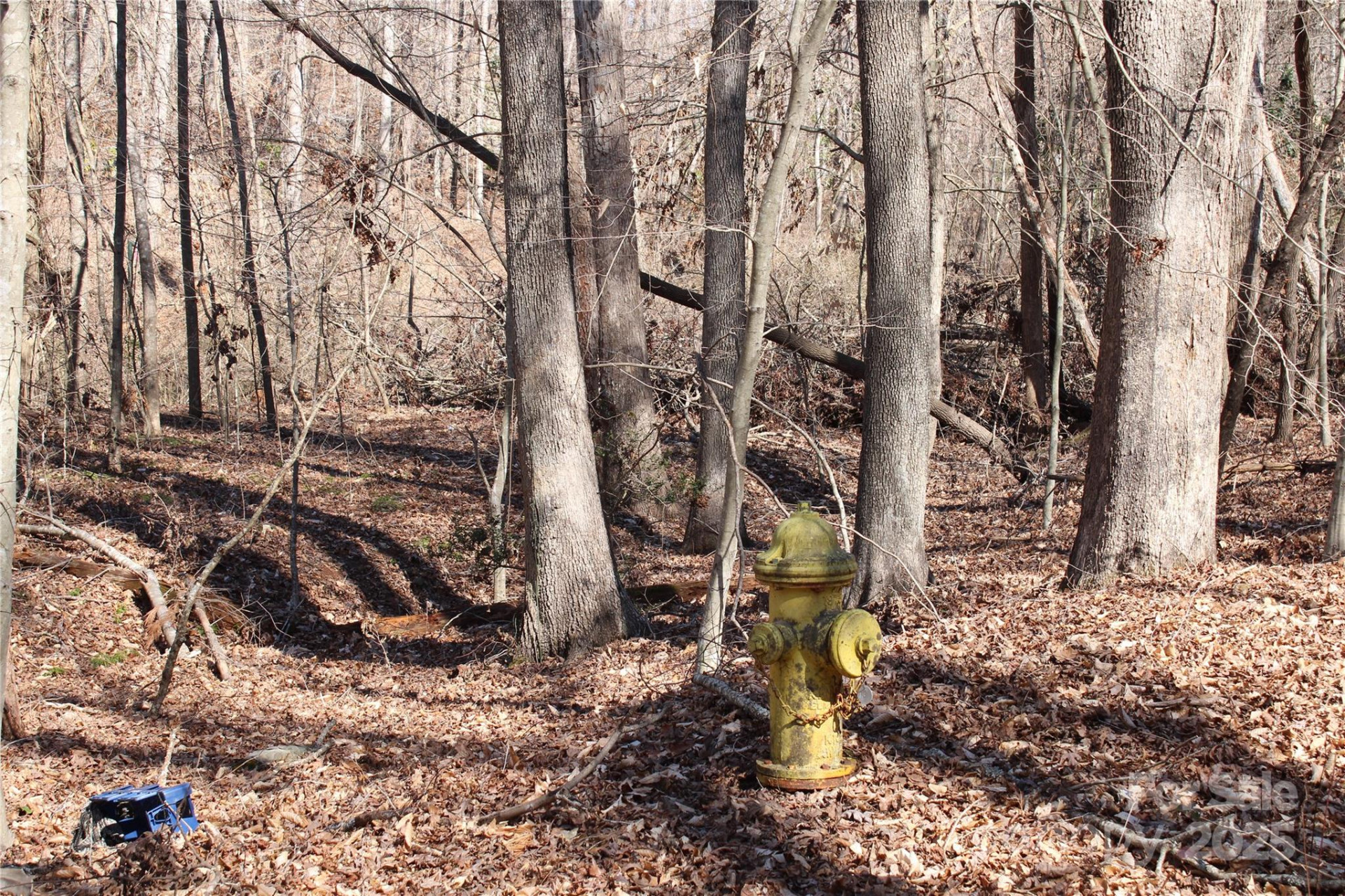 0 Rutherford Street - Photo 4