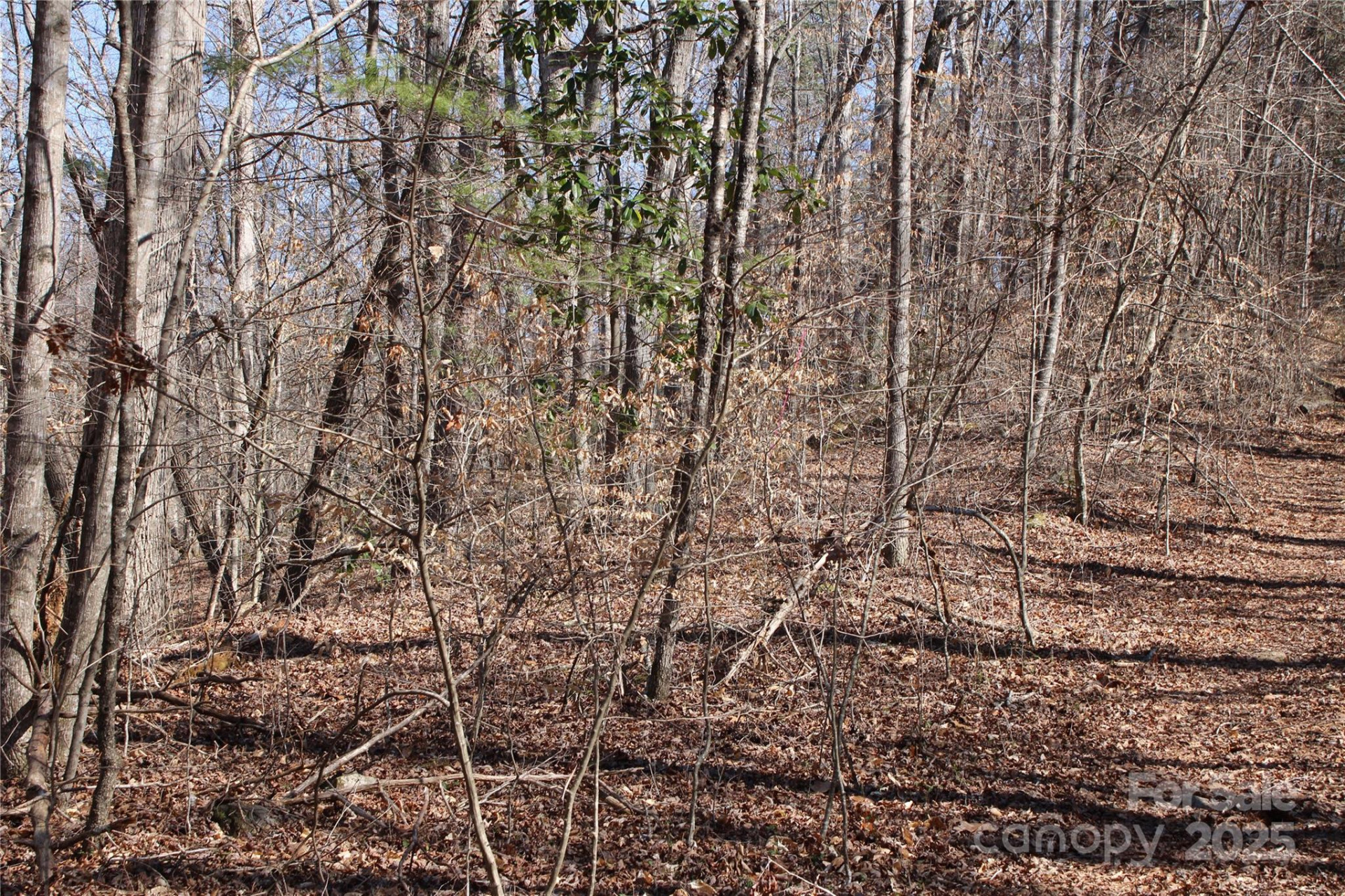 0 Rutherford Street - Photo 5