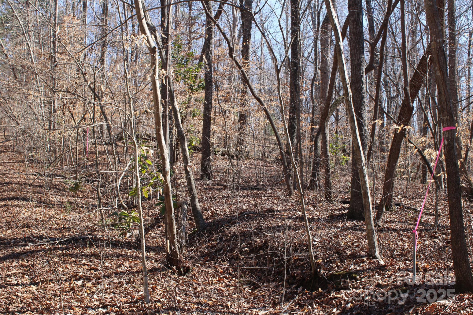 0 Rutherford Street - Photo 6