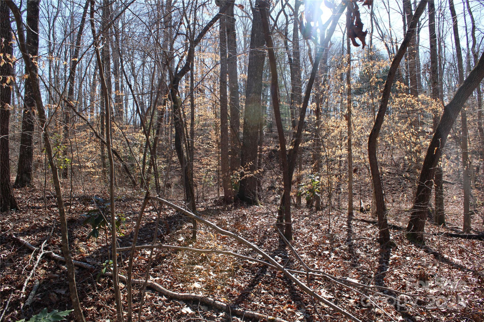 0 Rutherford Street - Photo 7