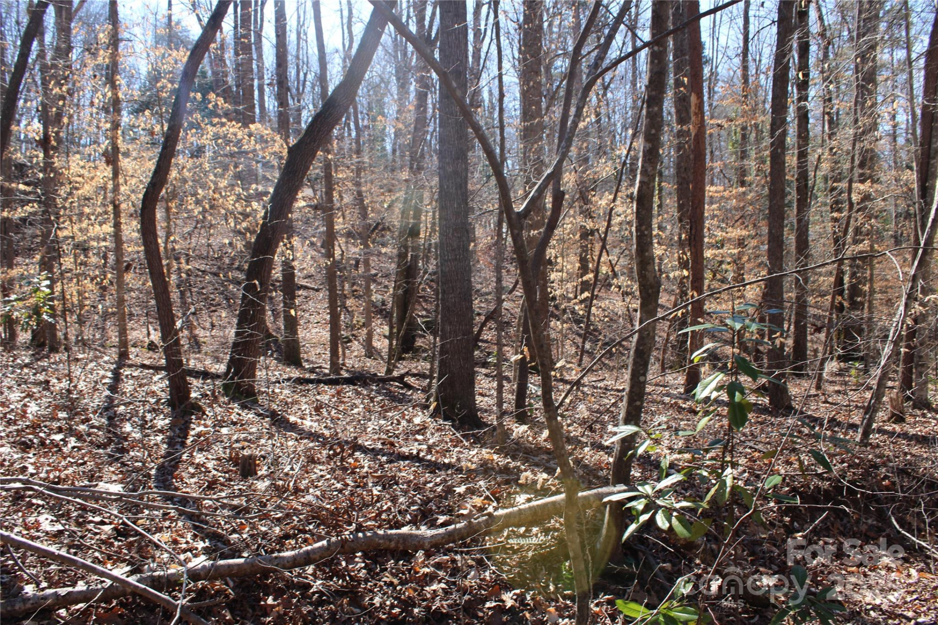 0 Rutherford Street - Photo 8