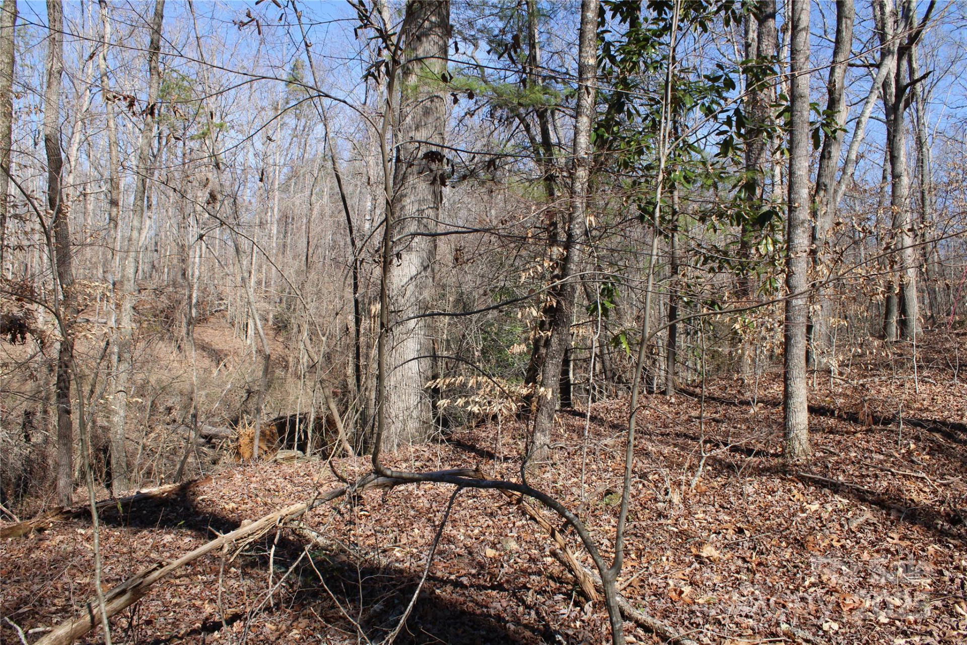 0 Rutherford Street - Photo 9