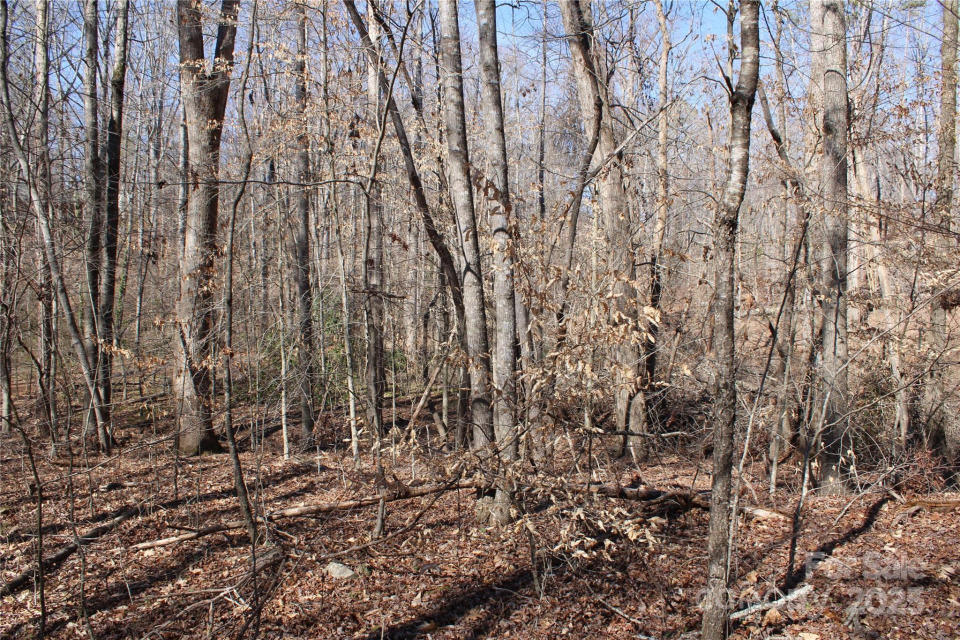 0 Rutherford Street - Photo 10