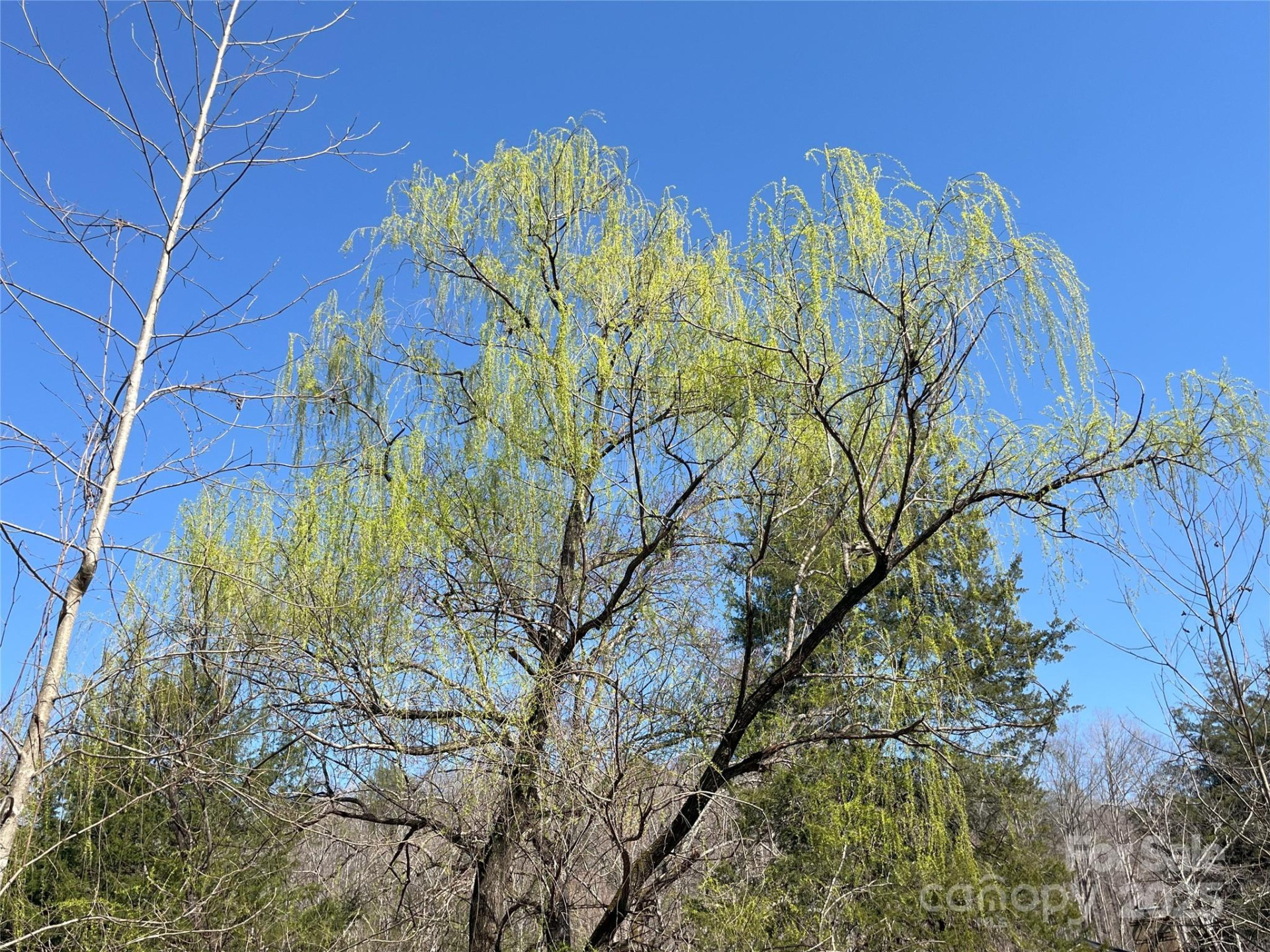126 Lazy Acres Lane - Photo 29