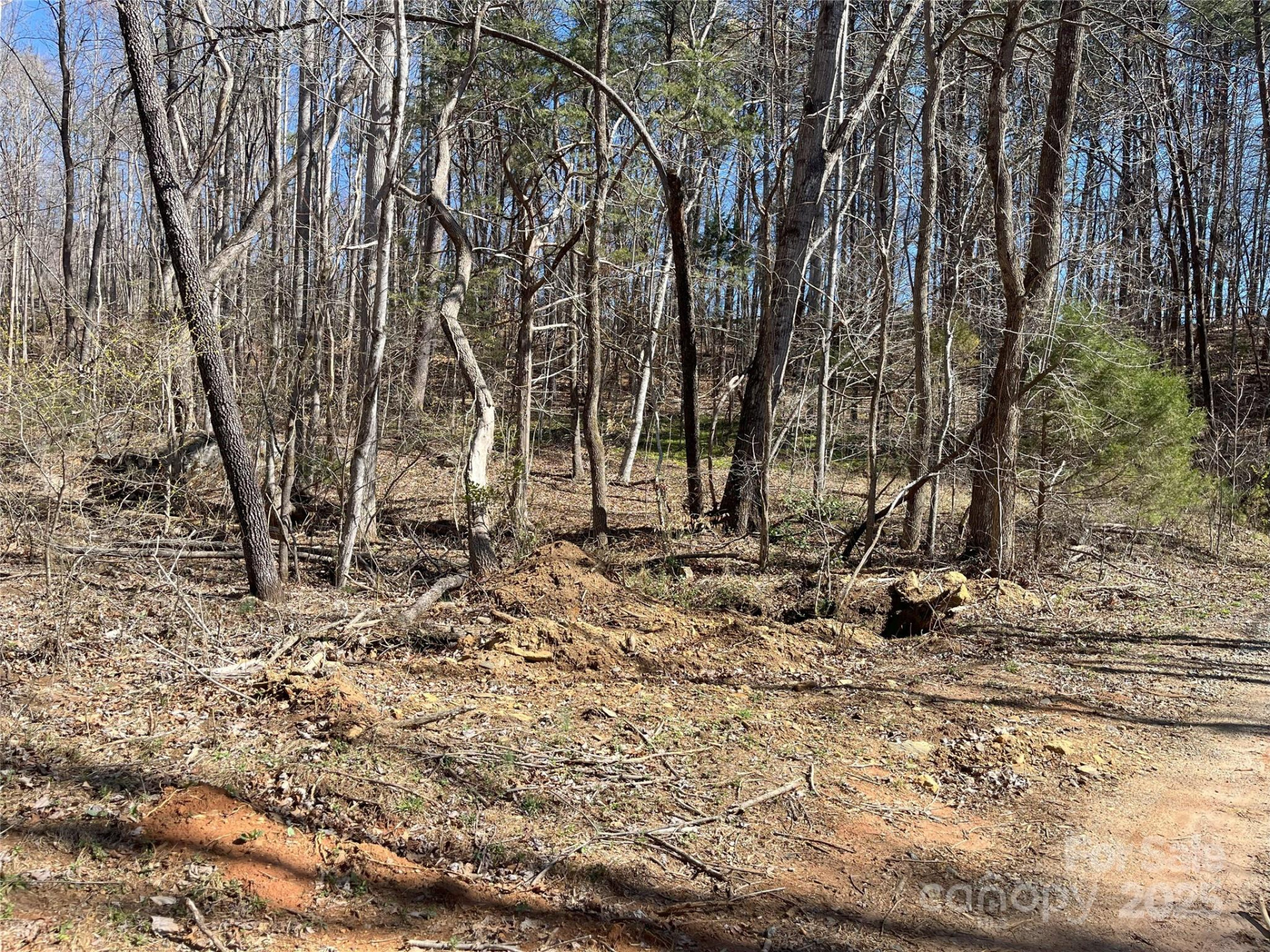 126 Lazy Acres Lane - Photo 47