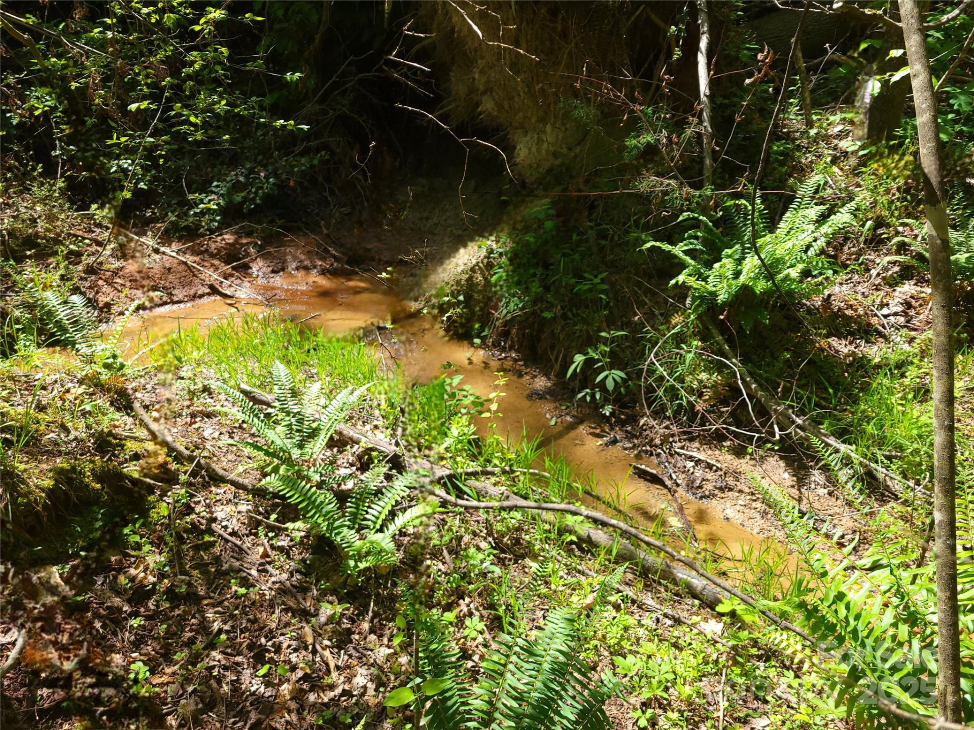 000 Skylark Lane #6 - Photo 2