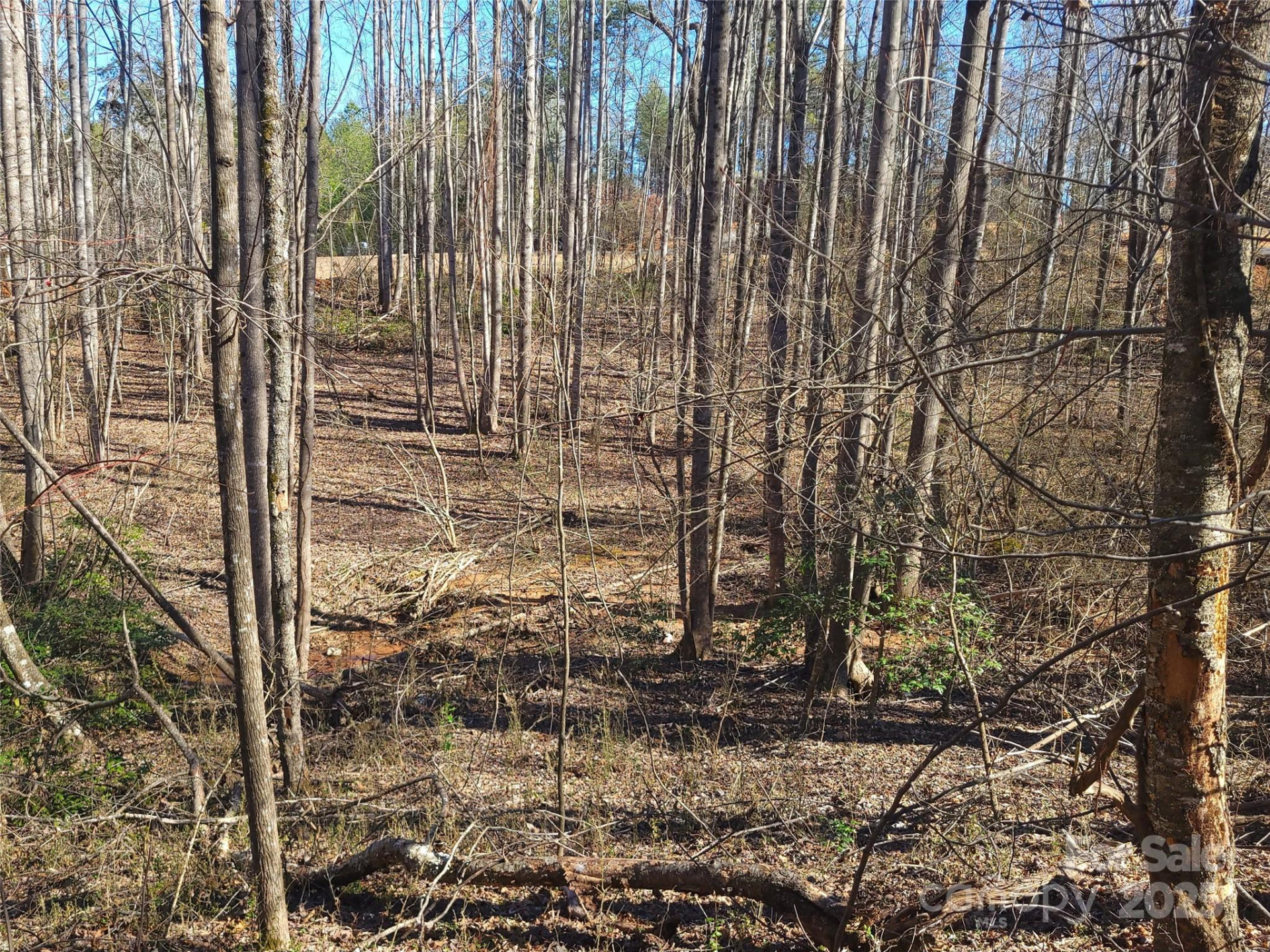 000 Skylark Lane #6 - Photo 11