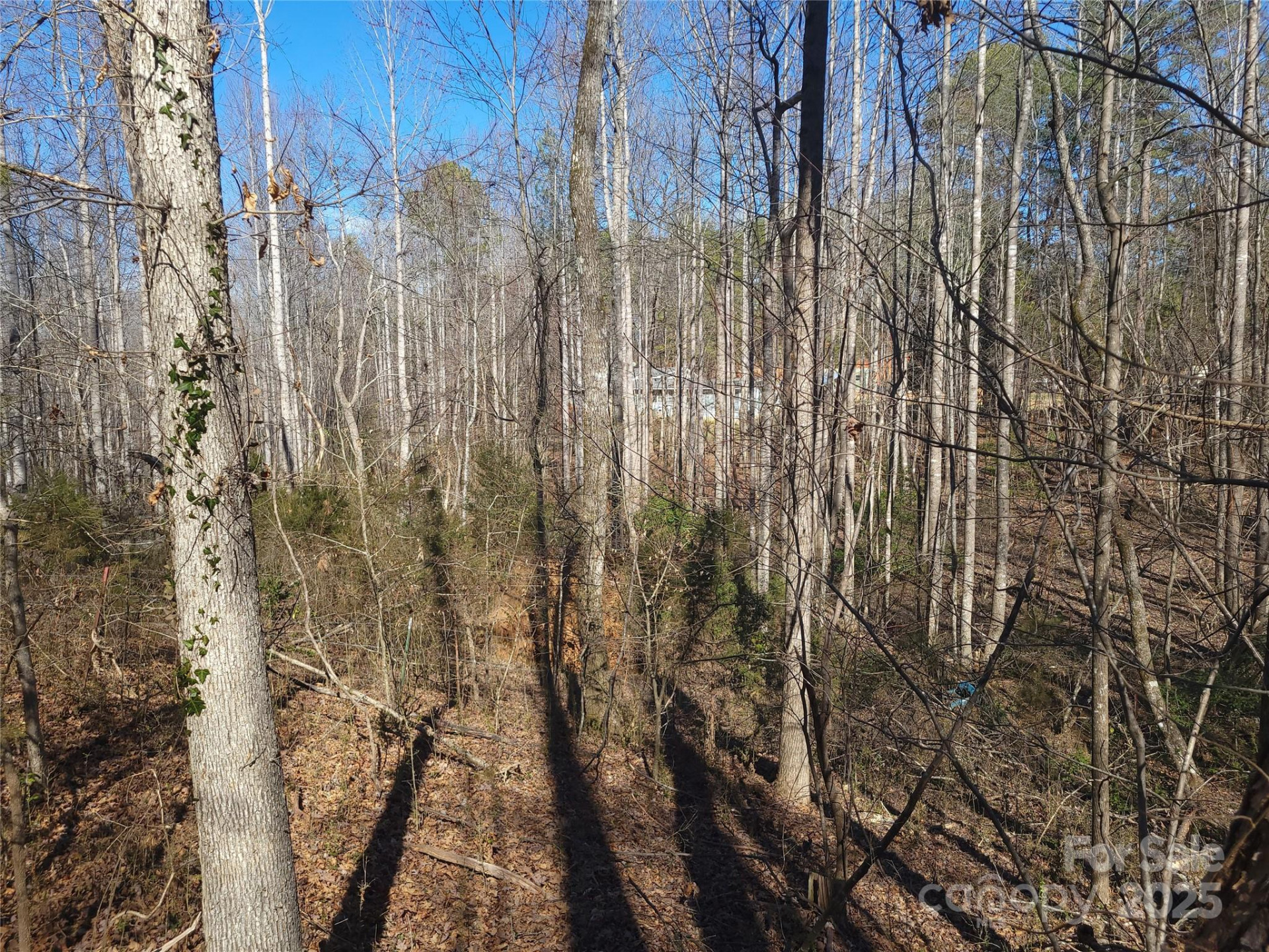 000 Skylark Lane #6 - Photo 12