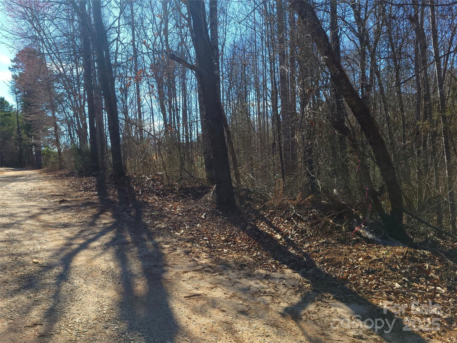 000 Skylark Lane #6 - Photo 15