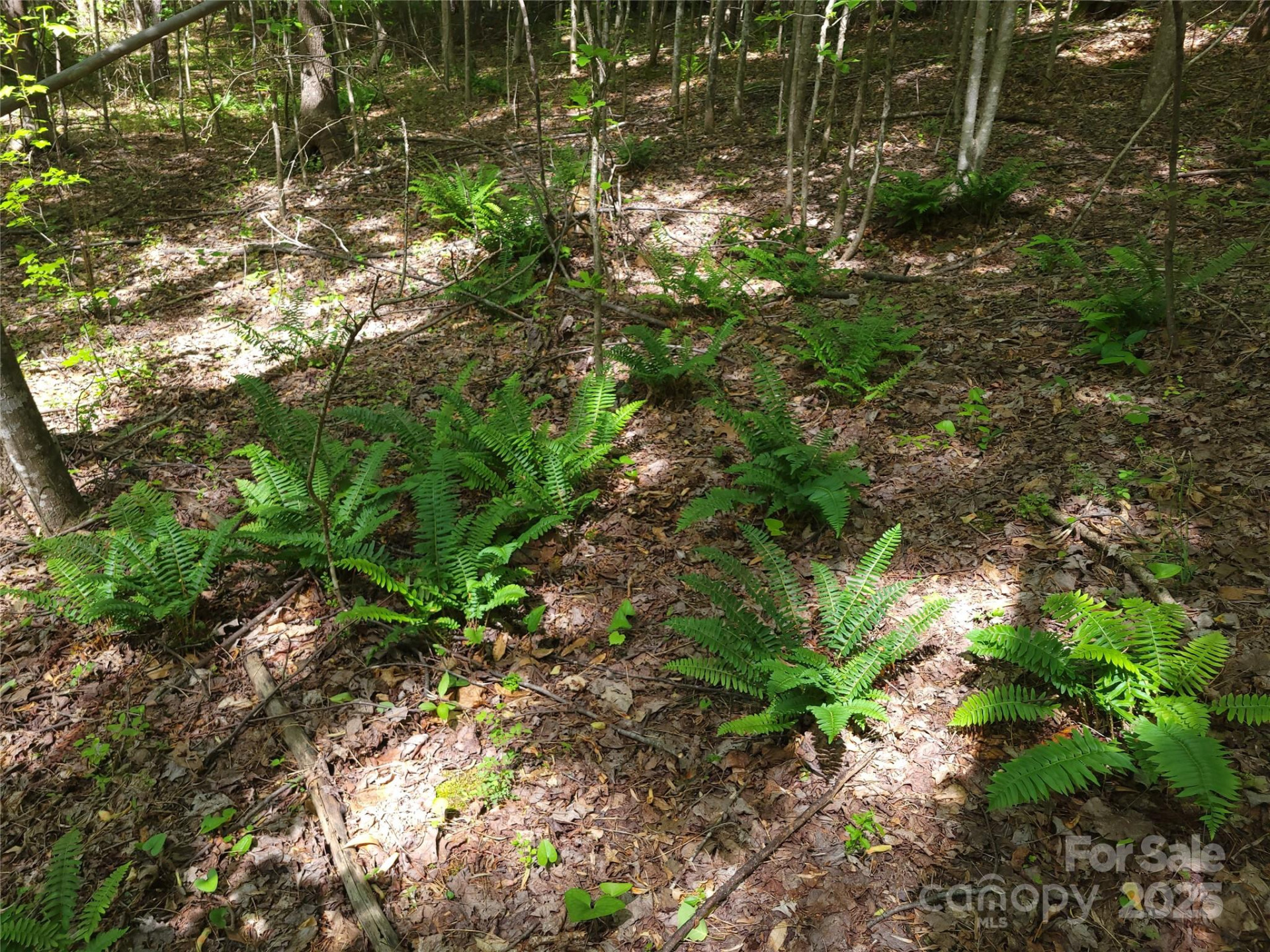 000 Skylark Lane #6 - Photo 16