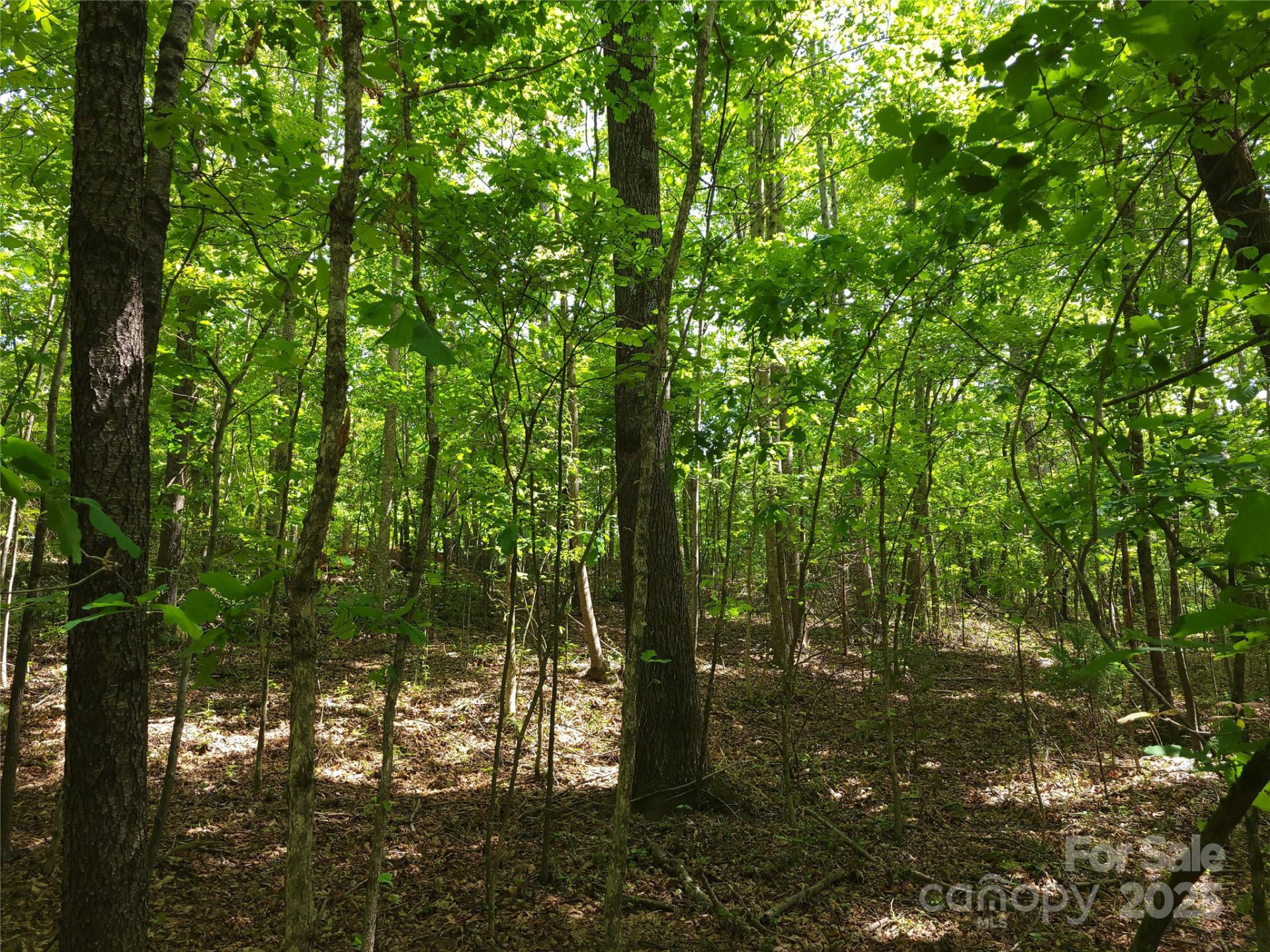 000 Skylark Lane #6 - Photo 4