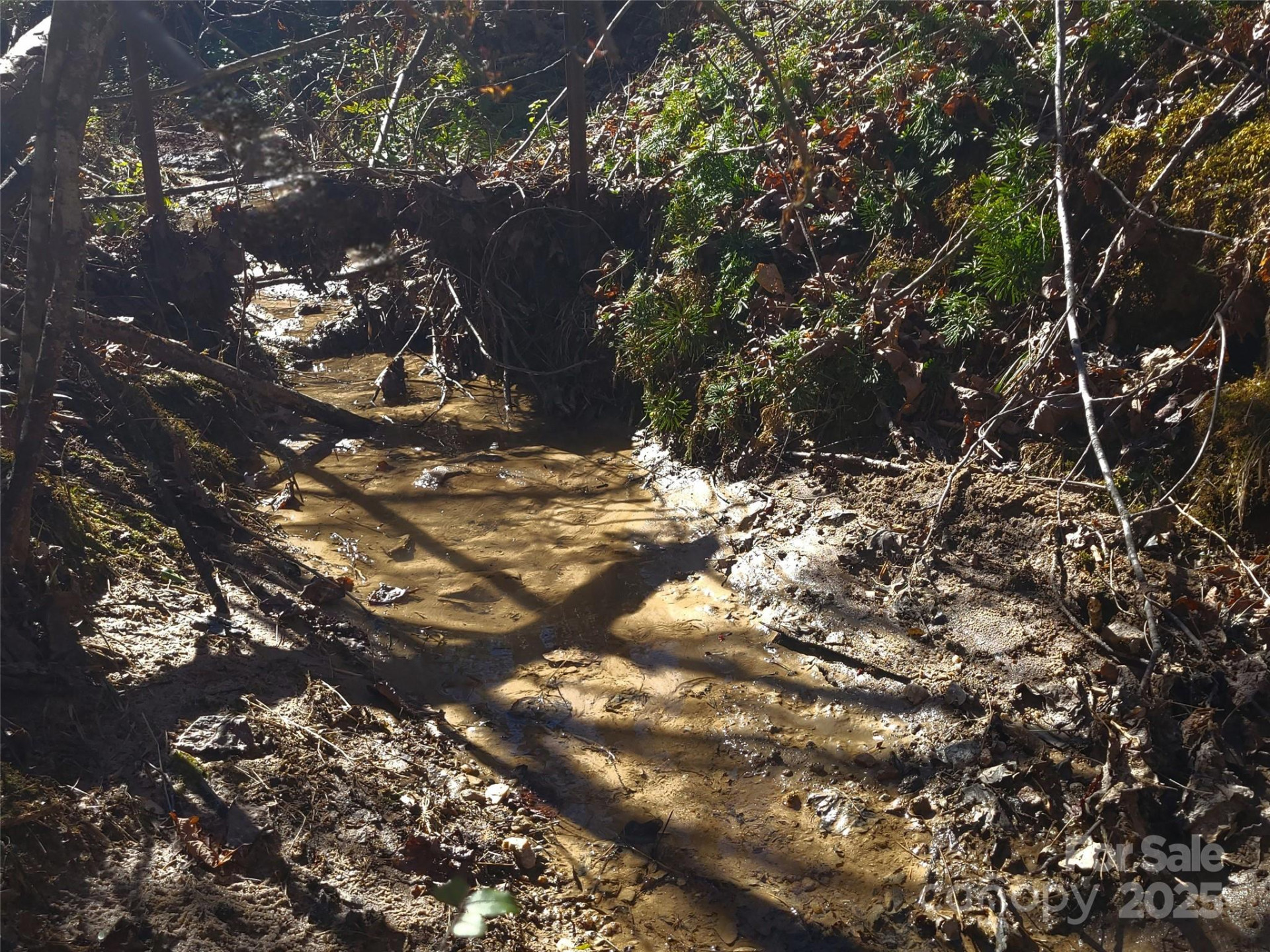 000 Skylark Lane #6 - Photo 7