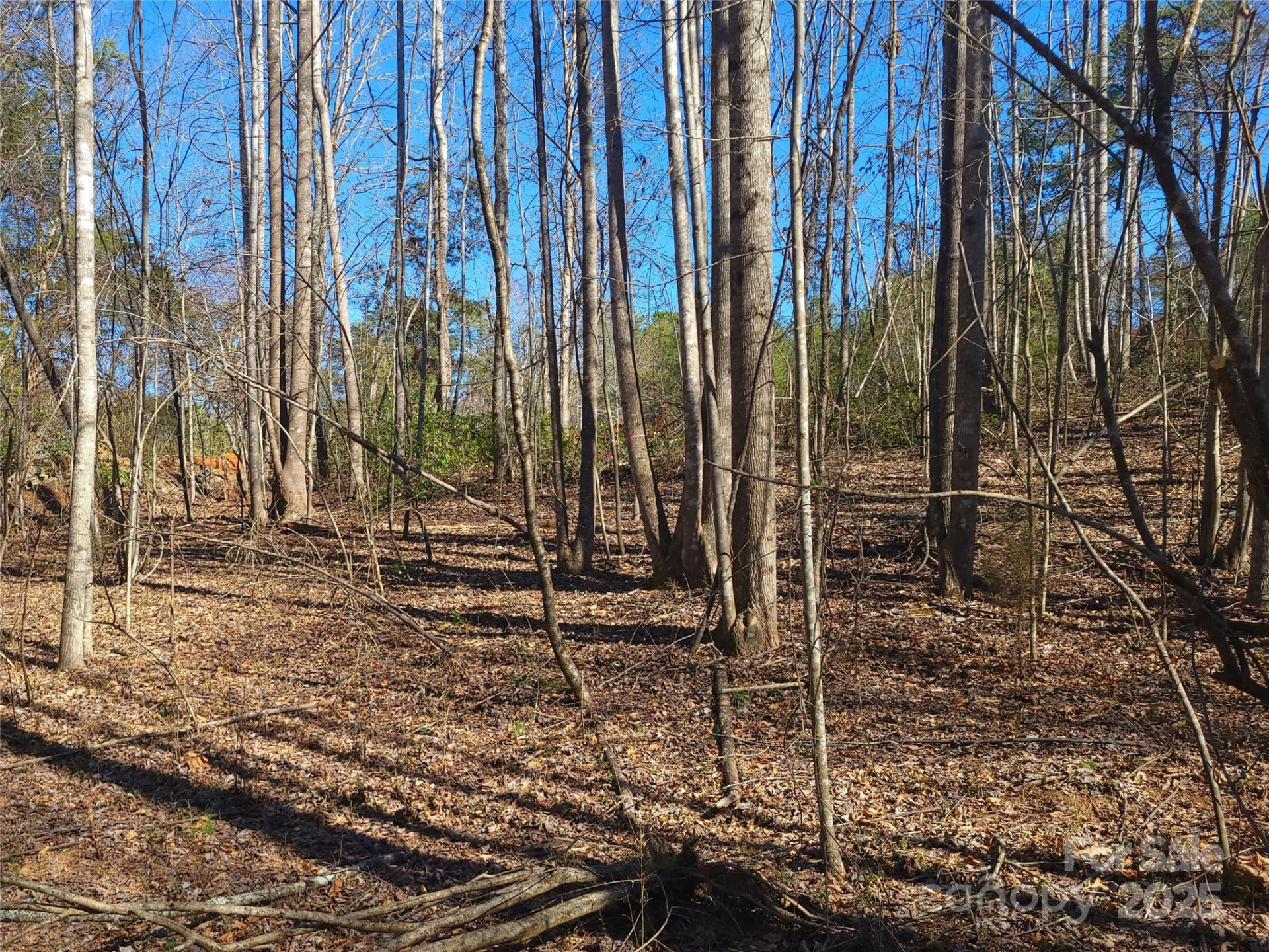 000 Skylark Lane #6 - Photo 8