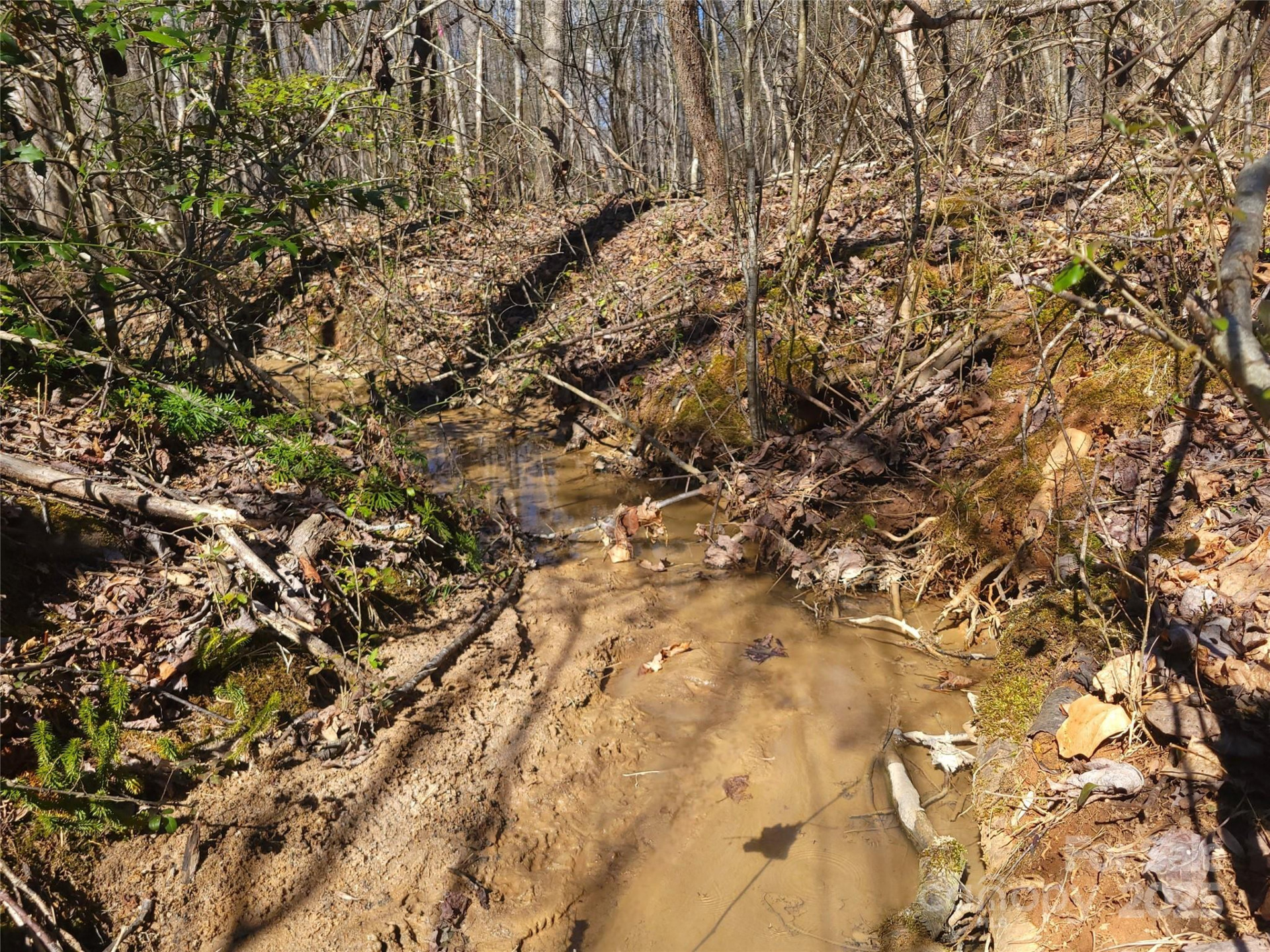 000 Skylark Lane #6 - Photo 9