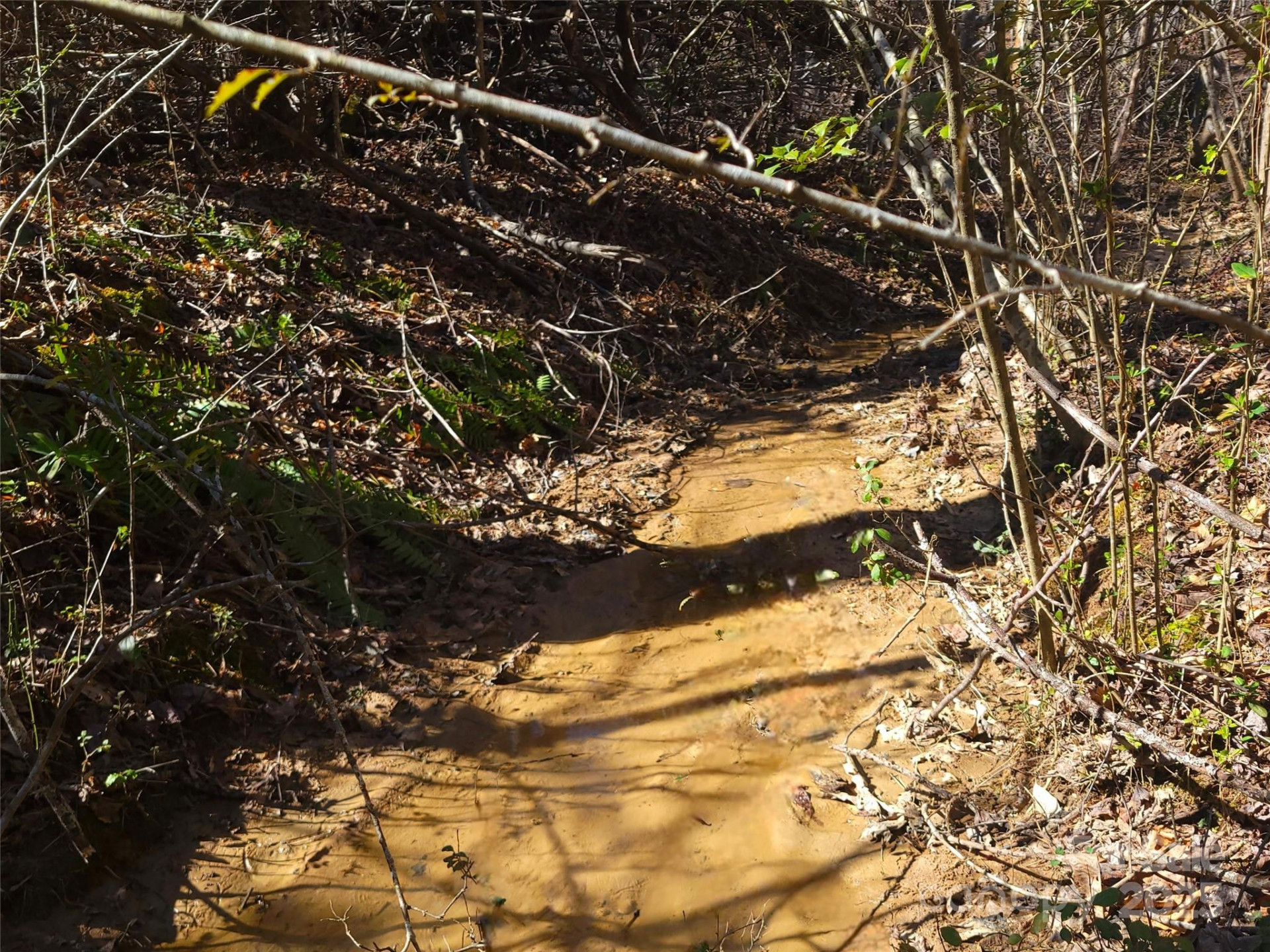 000 Skylark Lane #6 - Photo 10