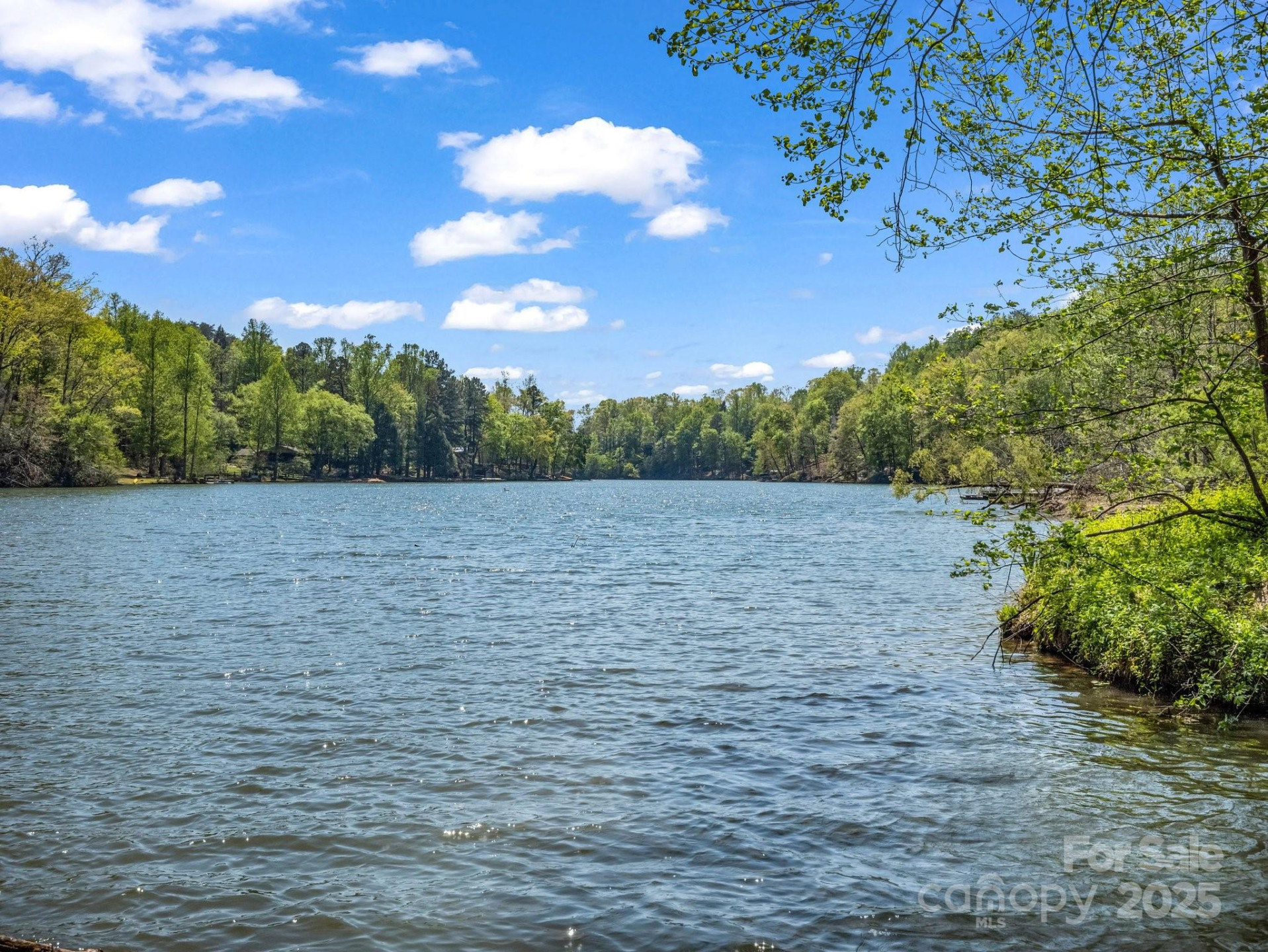 1973 Buffalo Creek Road - Photo 2