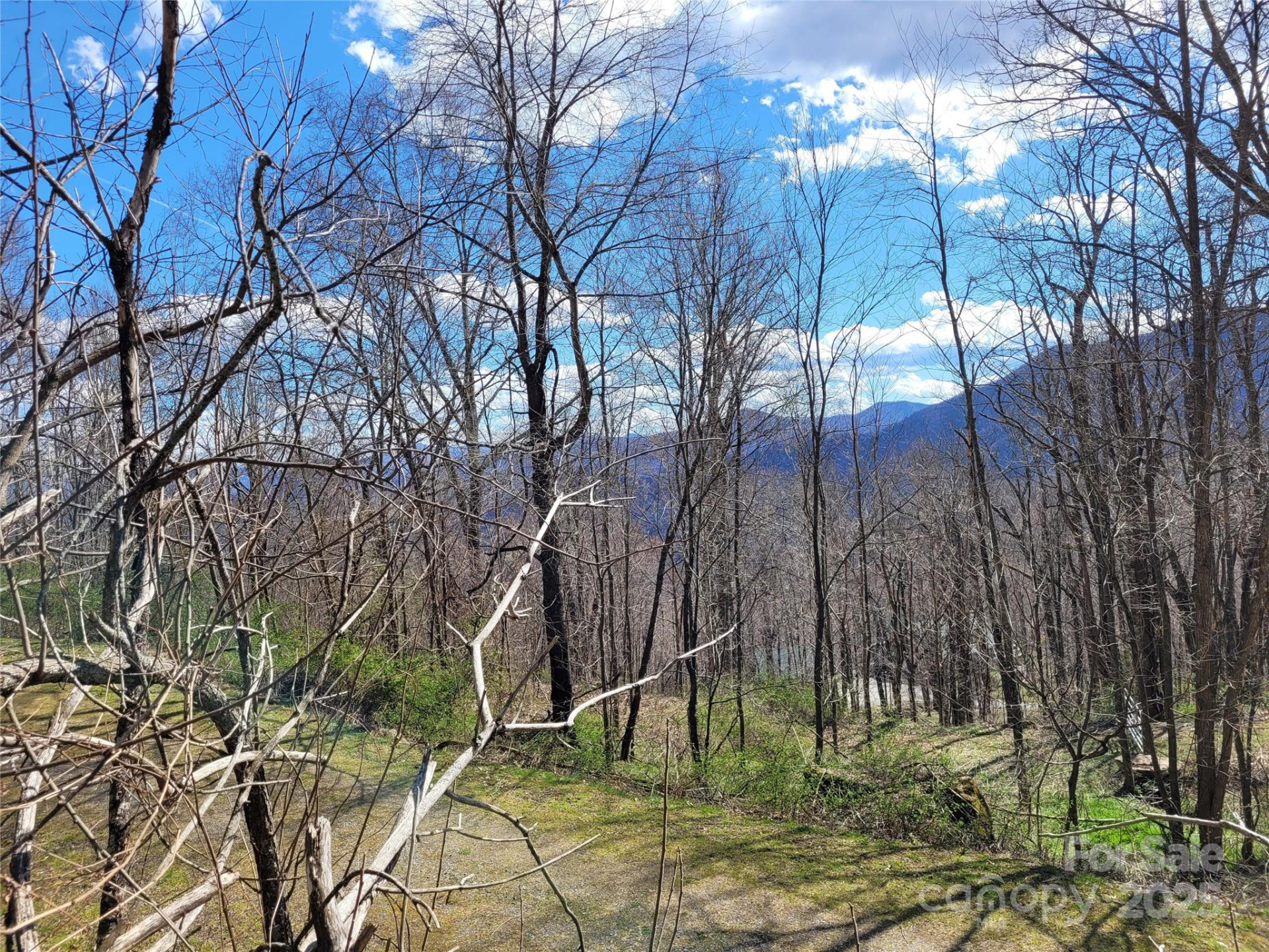 0 Purple Martin Lane #22 - Photo 2