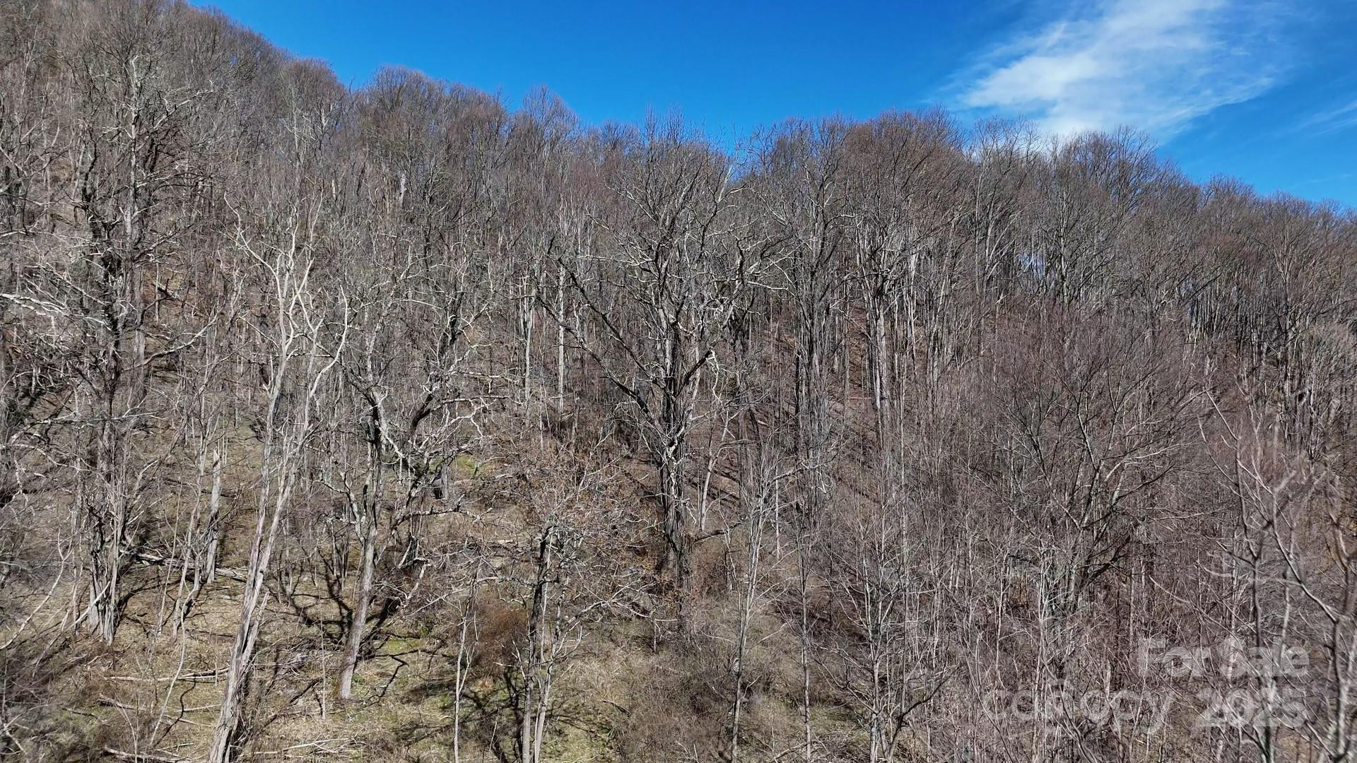 0 Purple Martin Lane #22 - Photo 11