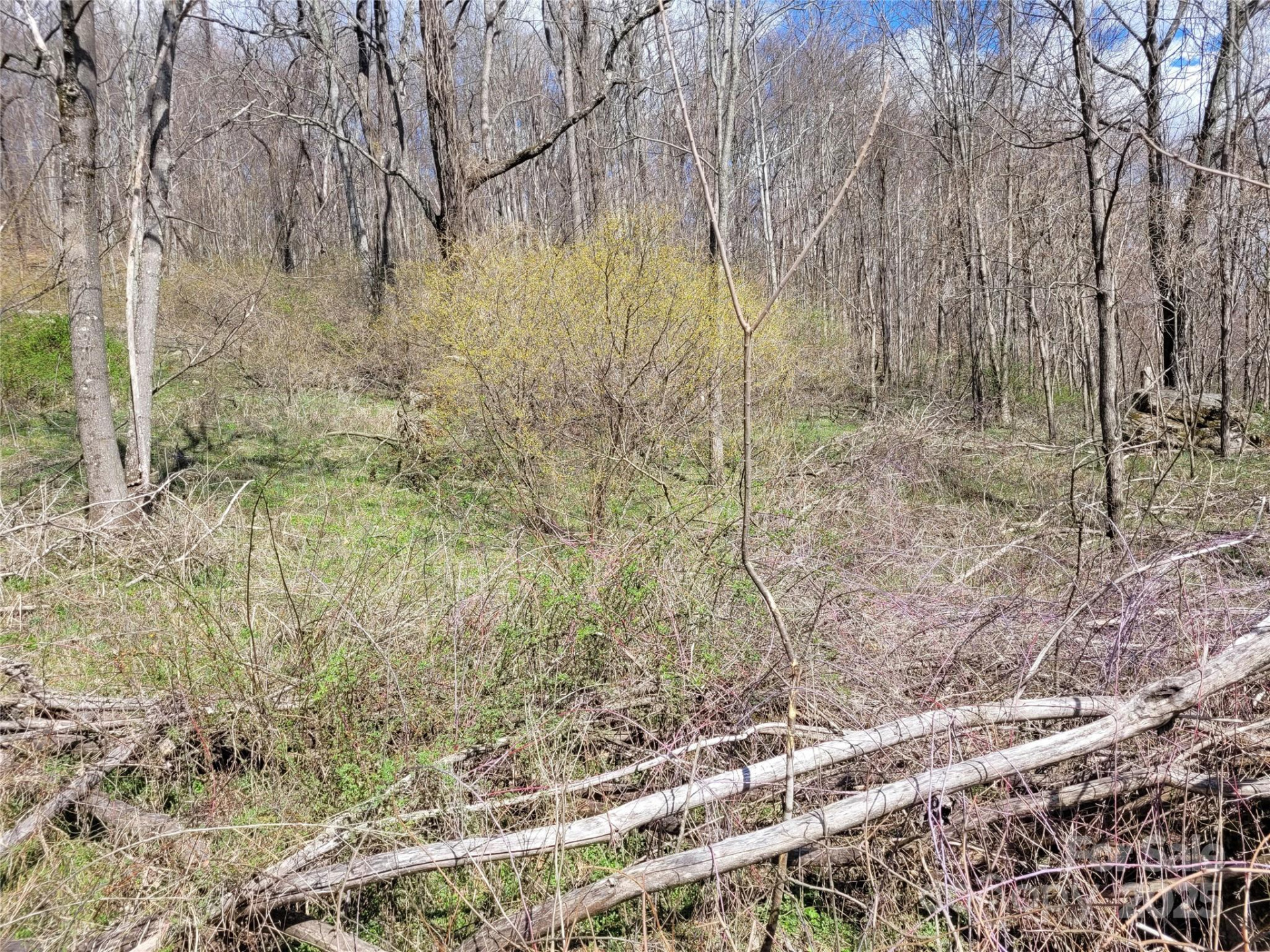 0 Purple Martin Lane #22 - Photo 16