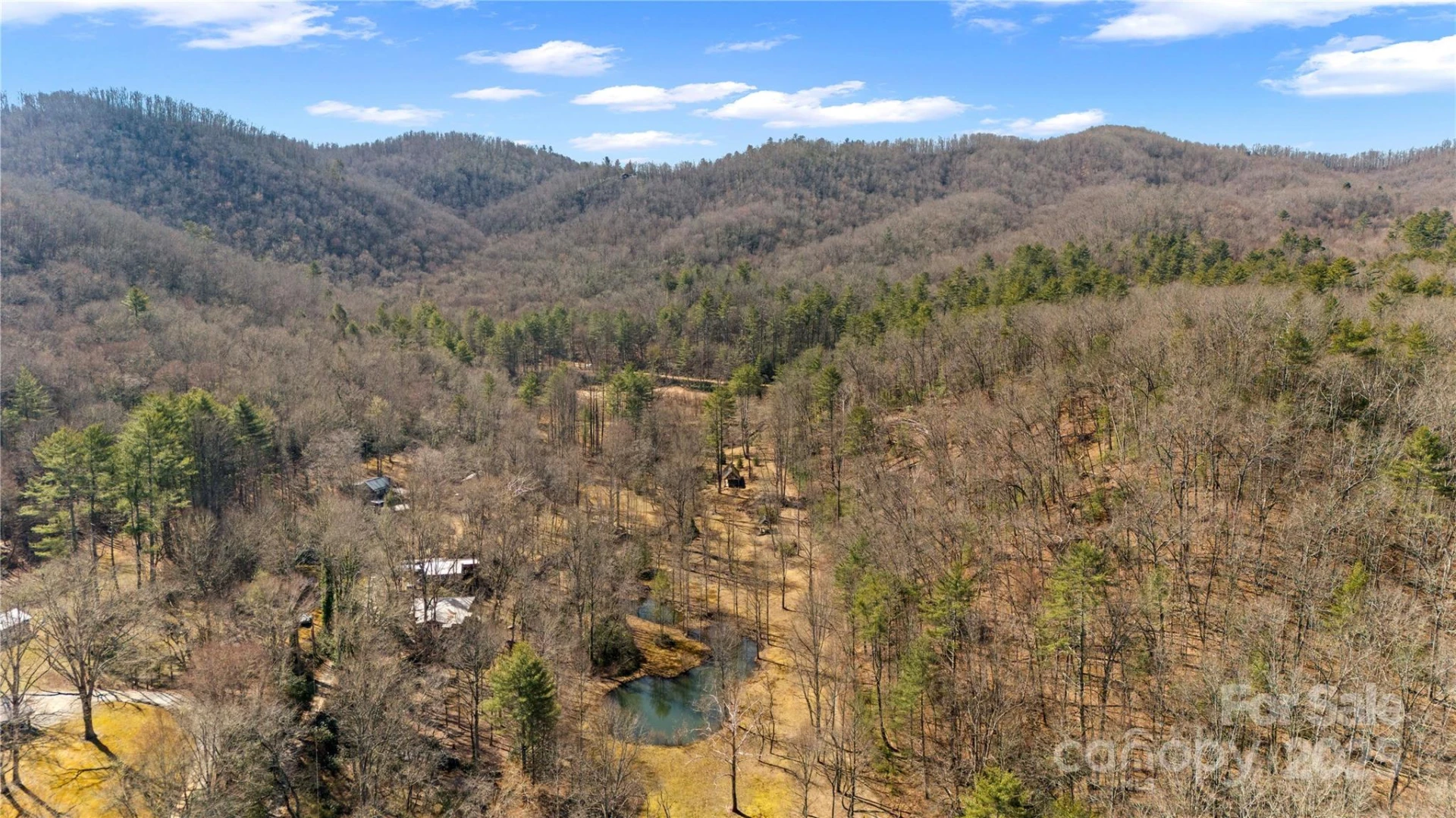 361 Rooster Cove - Photo 11