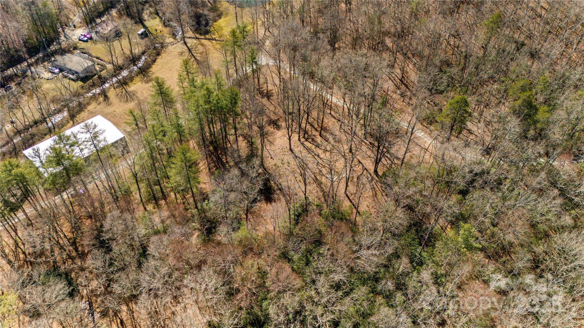 361 Rooster Cove - Photo 12