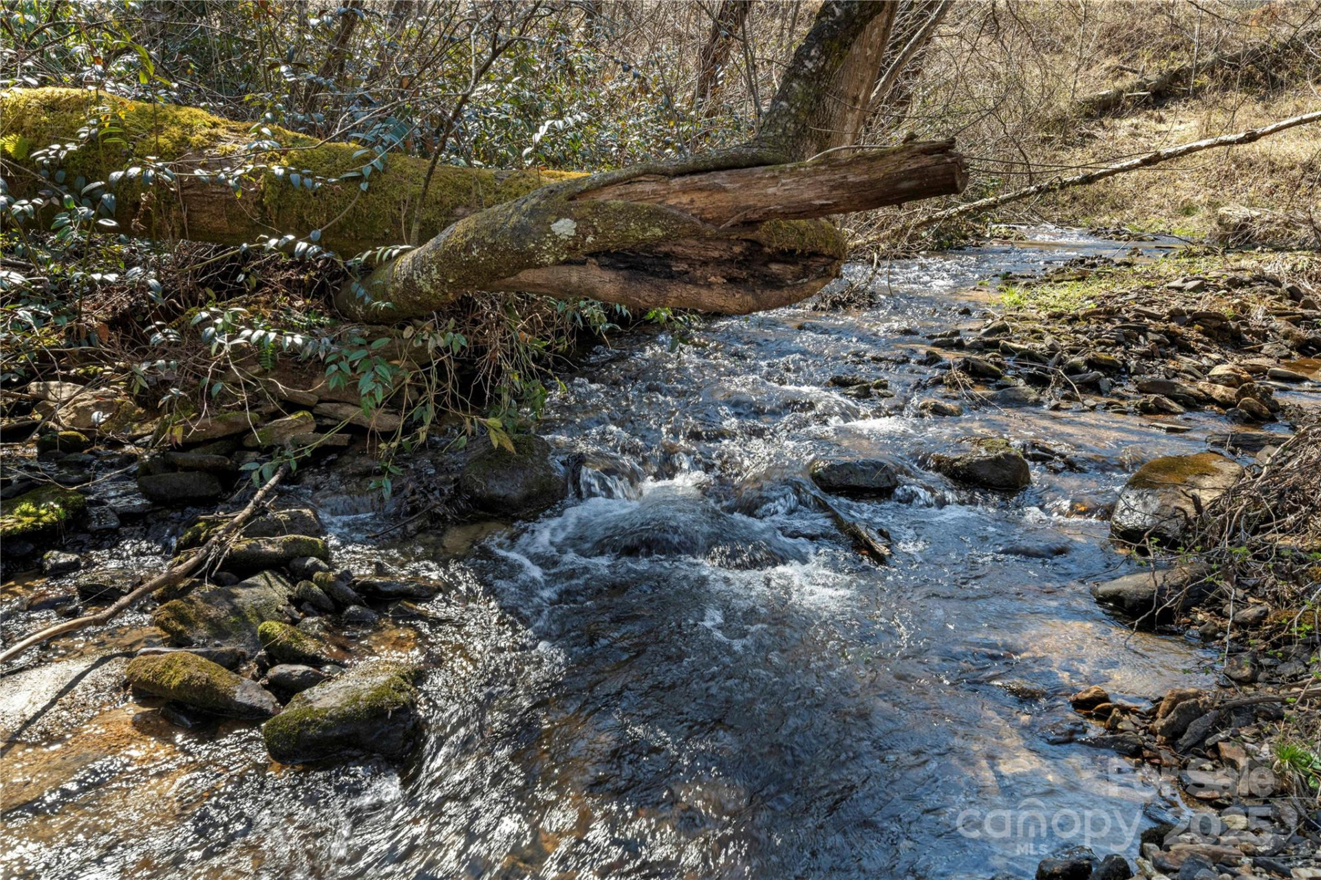 361 Rooster Cove - Photo 13