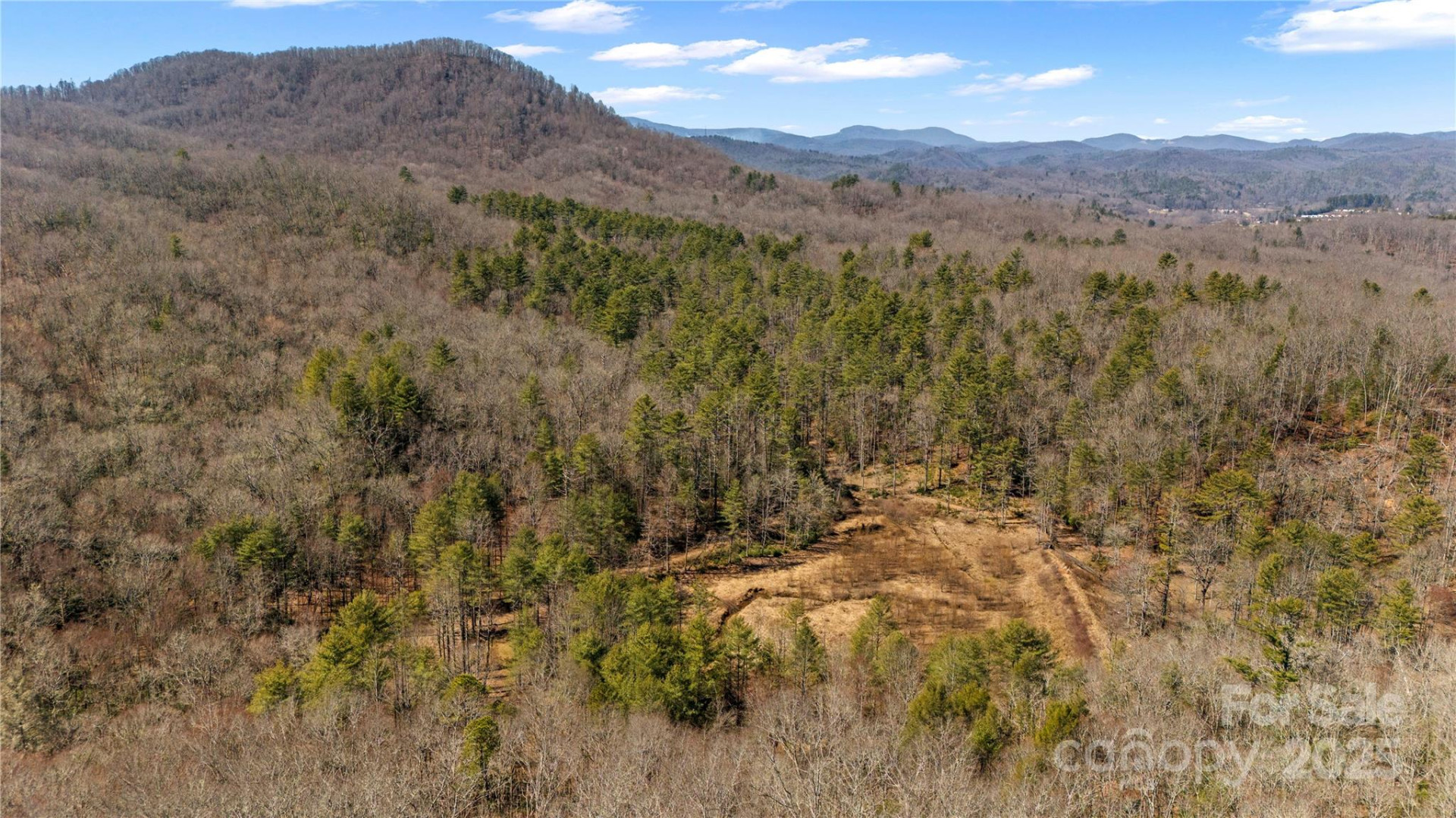 361 Rooster Cove - Photo 14