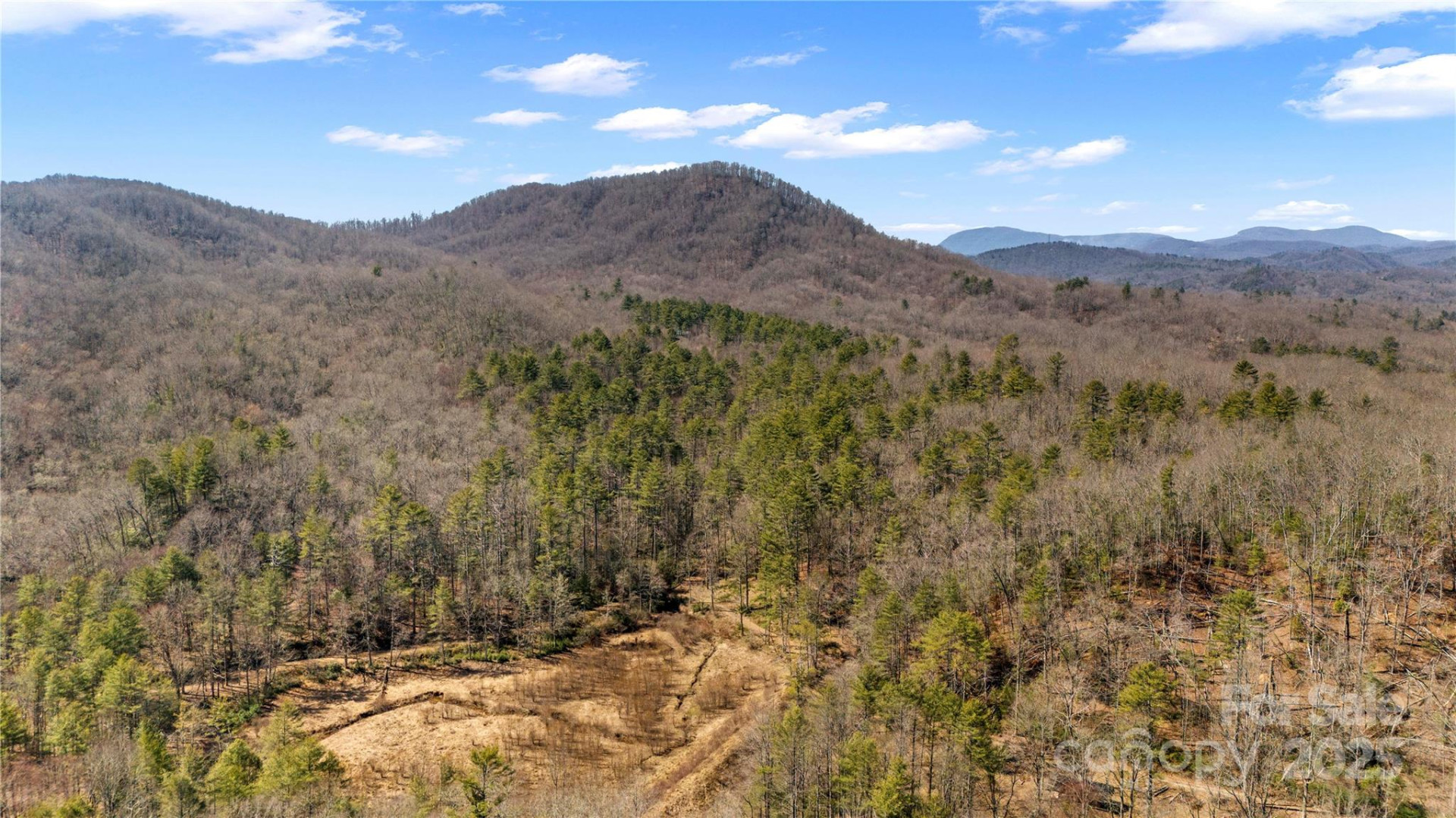 361 Rooster Cove - Photo 16