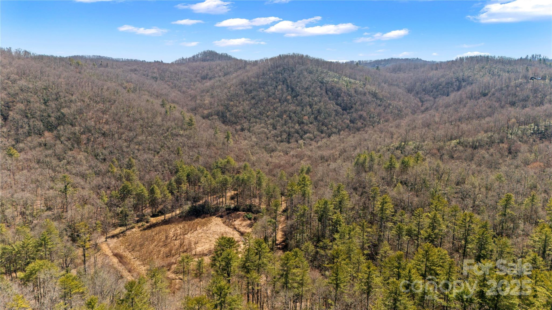 361 Rooster Cove - Photo 19