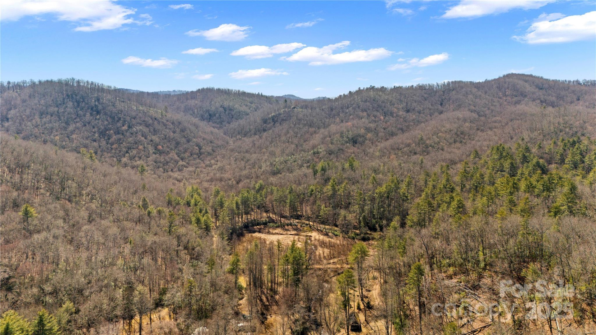 361 Rooster Cove - Photo 20