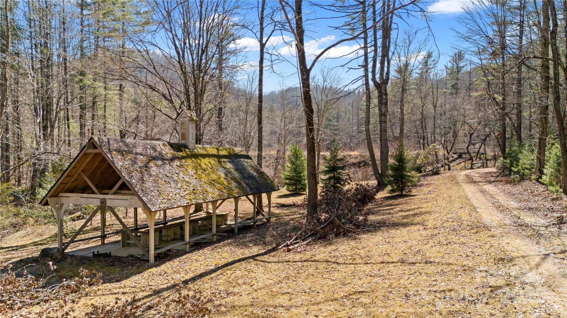 361 Rooster Cove - Photo 3