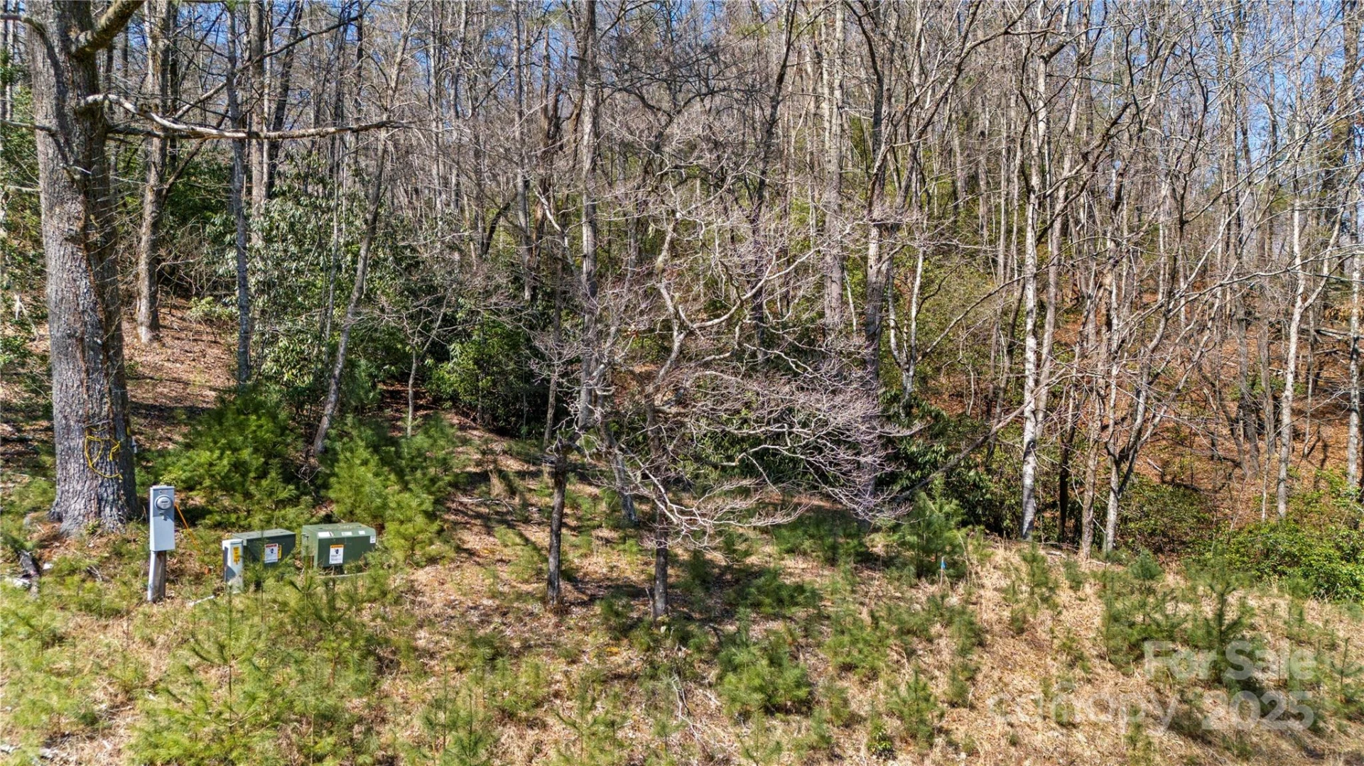361 Rooster Cove - Photo 21