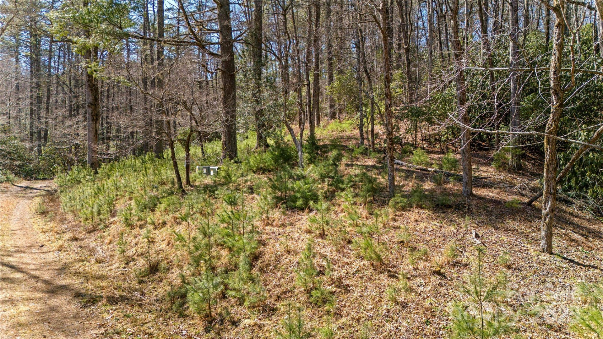 361 Rooster Cove - Photo 24