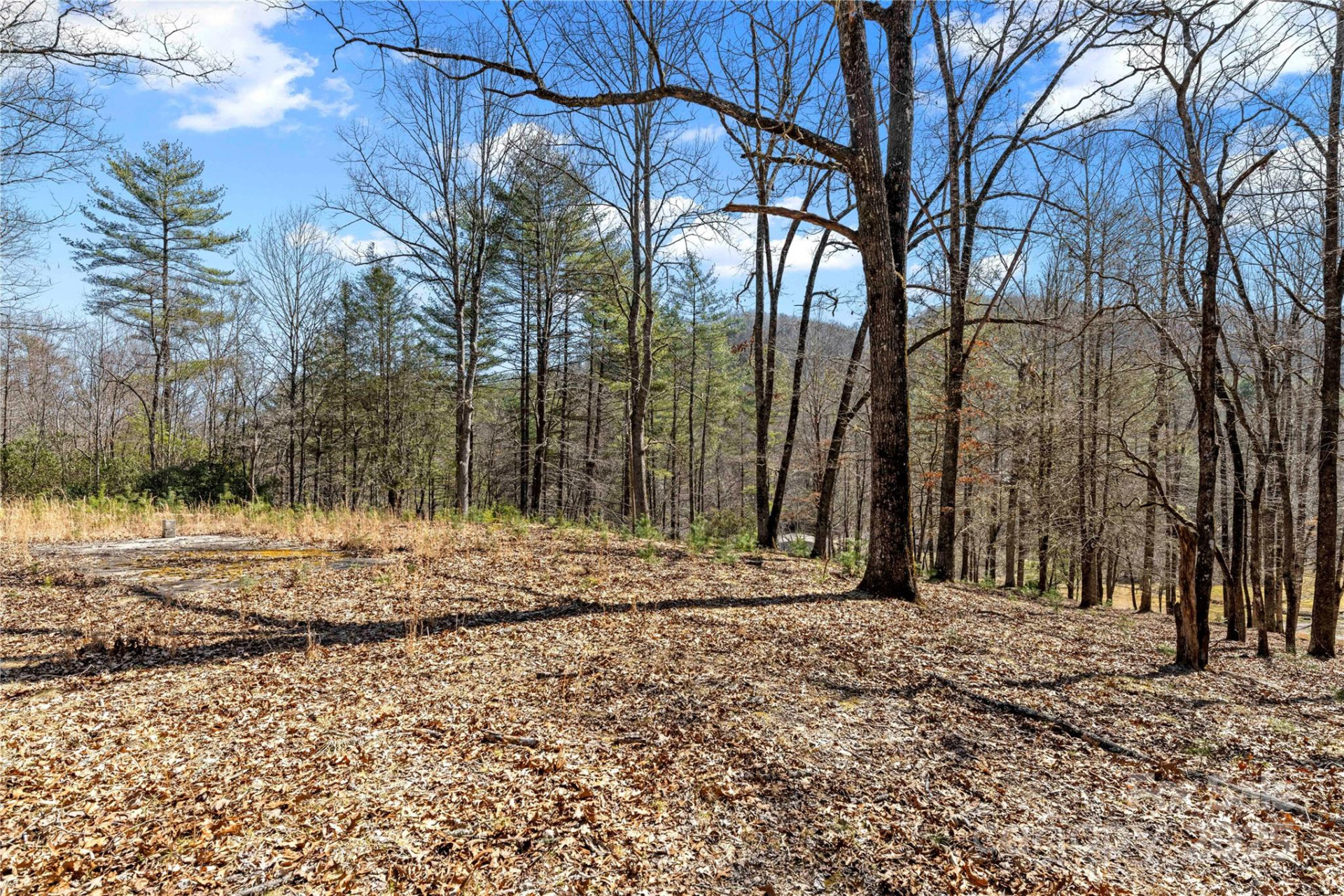 361 Rooster Cove - Photo 28