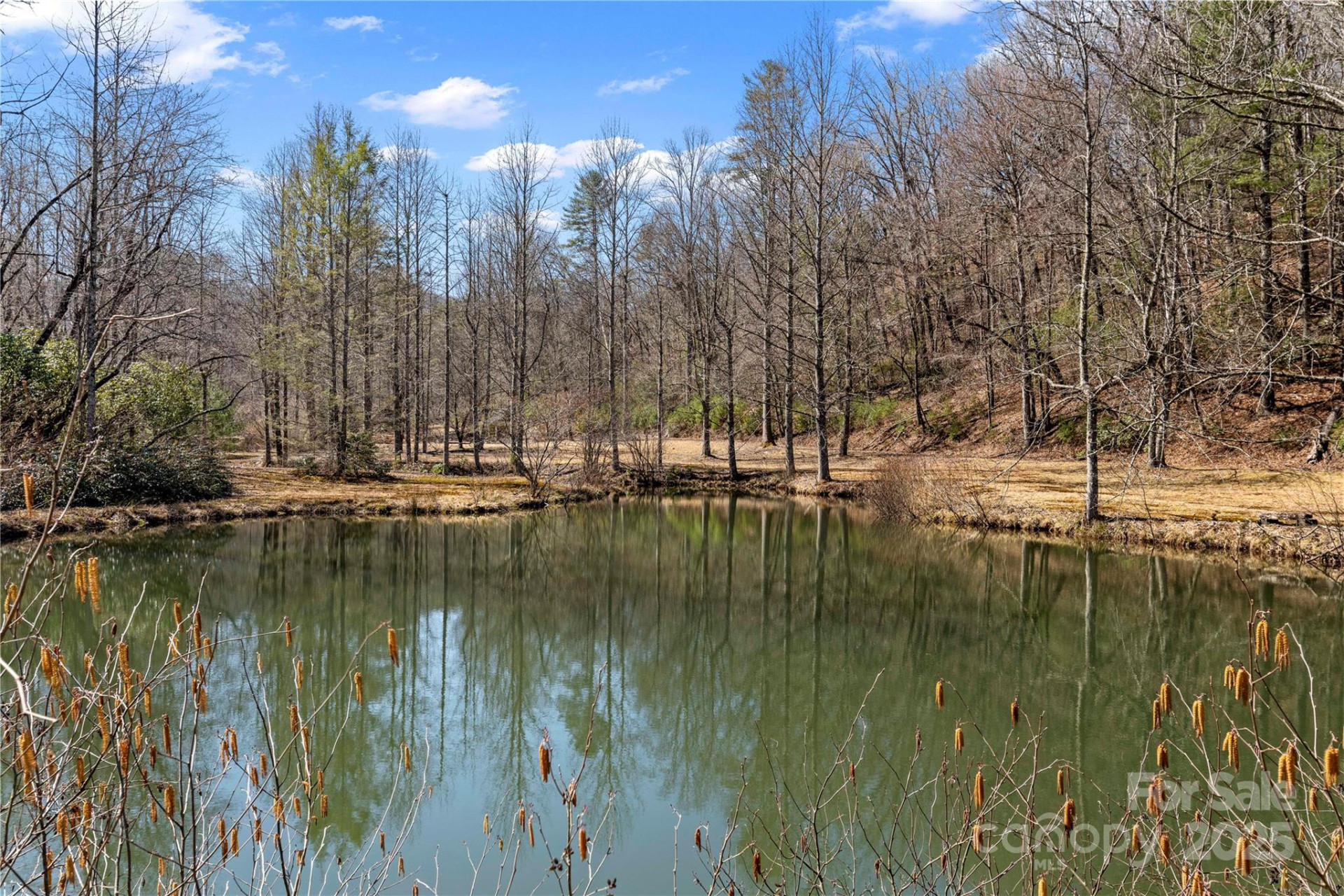 361 Rooster Cove - Photo 29